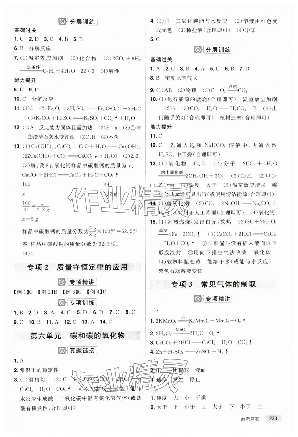 2025年追擊中考化學江西專版 參考答案第3頁