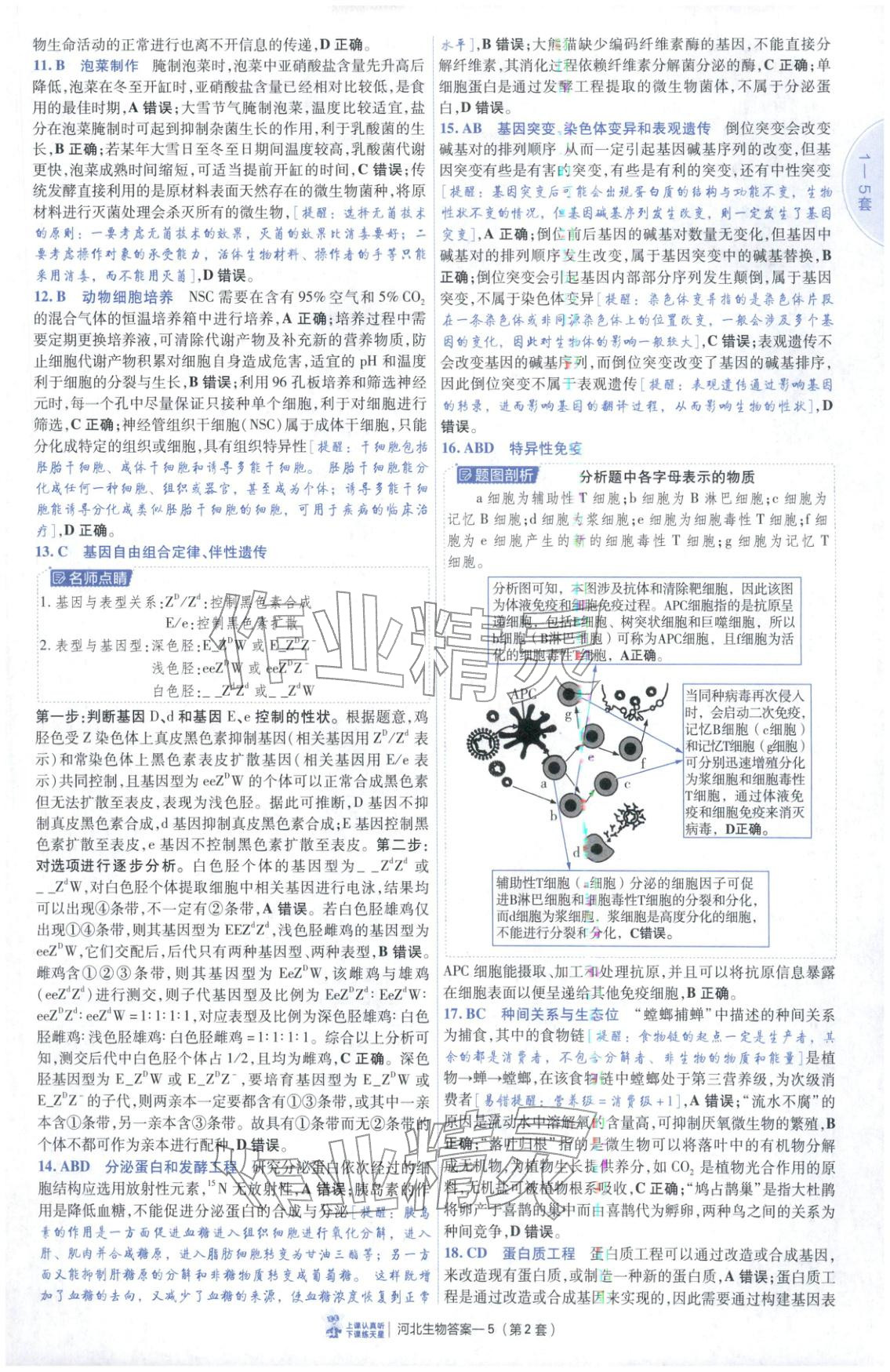 2026年金考卷优秀模拟试卷汇编45套高中生物河北专版 第5页
