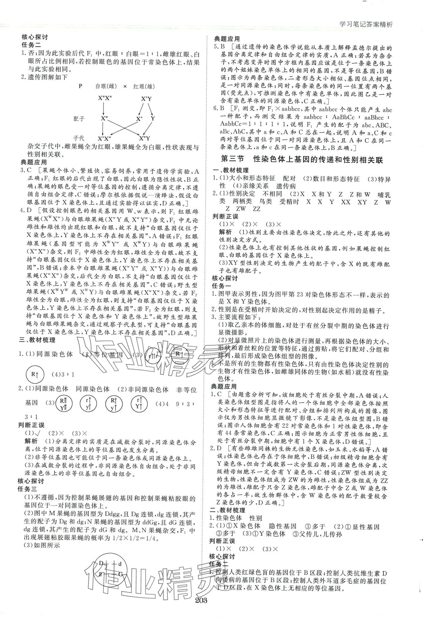 2024年步步高學習筆記高中生物必修2浙科版 第6頁