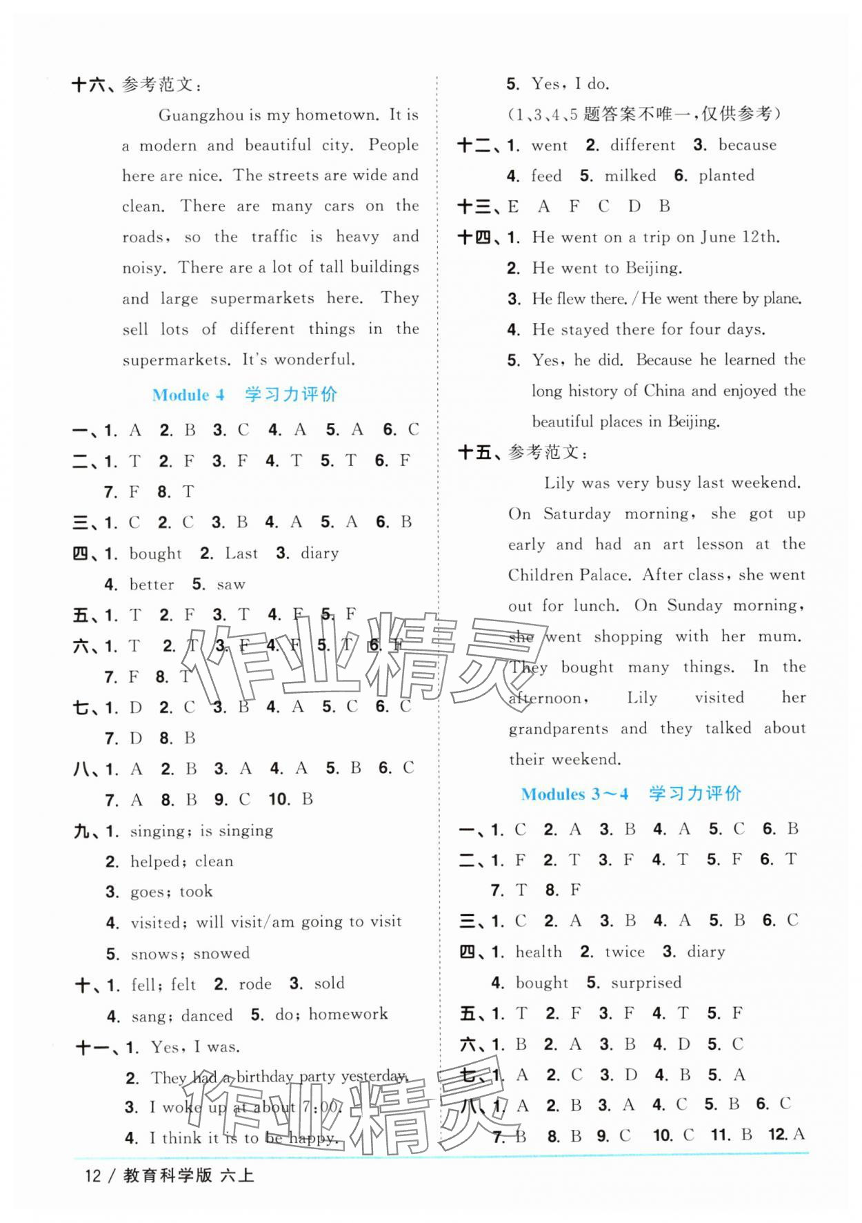 2025年阳光同学课时优化作业六年级英语上册教科版广州专版 第12页
