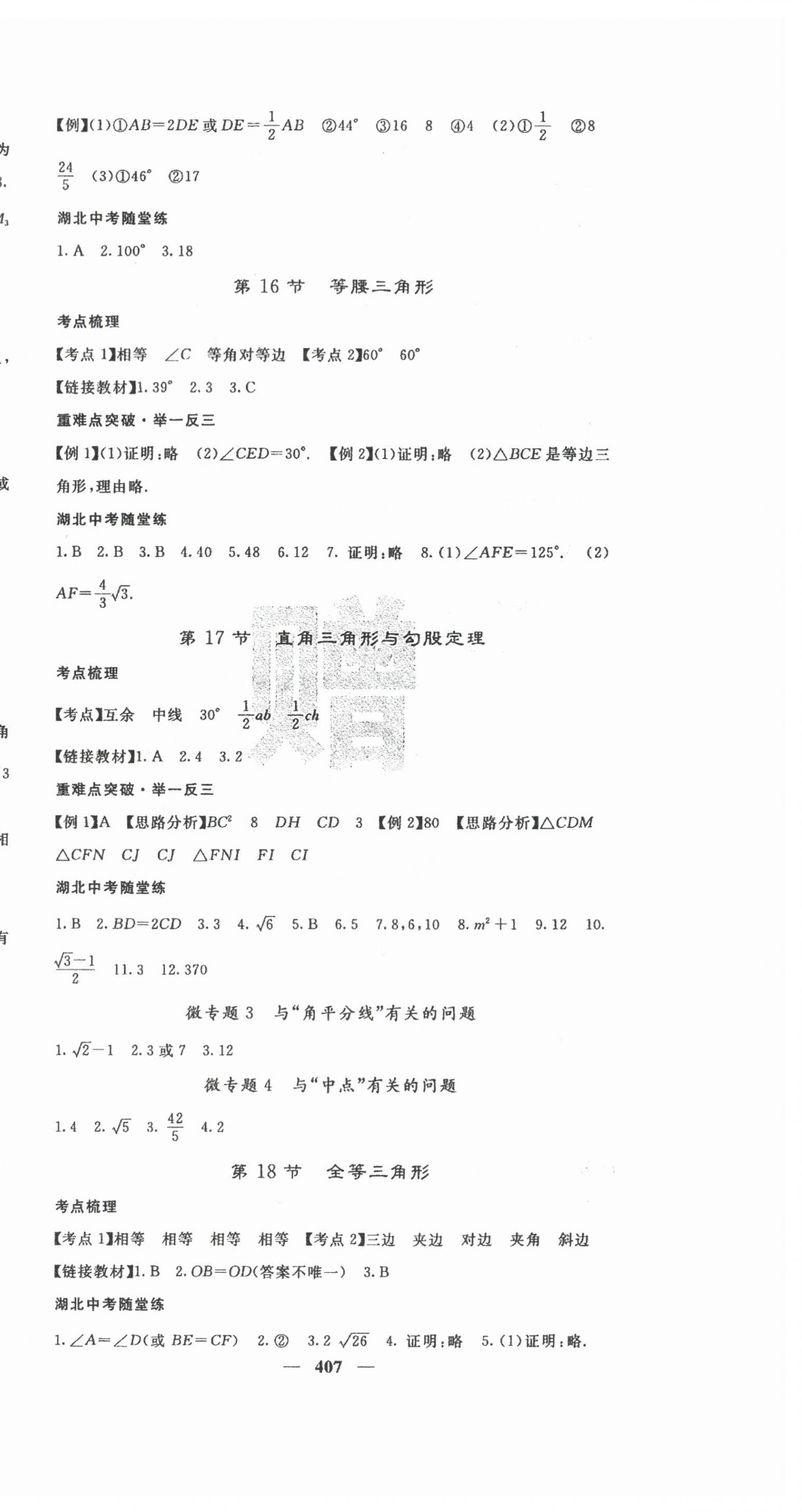 2024年中考新航線數(shù)學(xué)中考湖北專版 第9頁