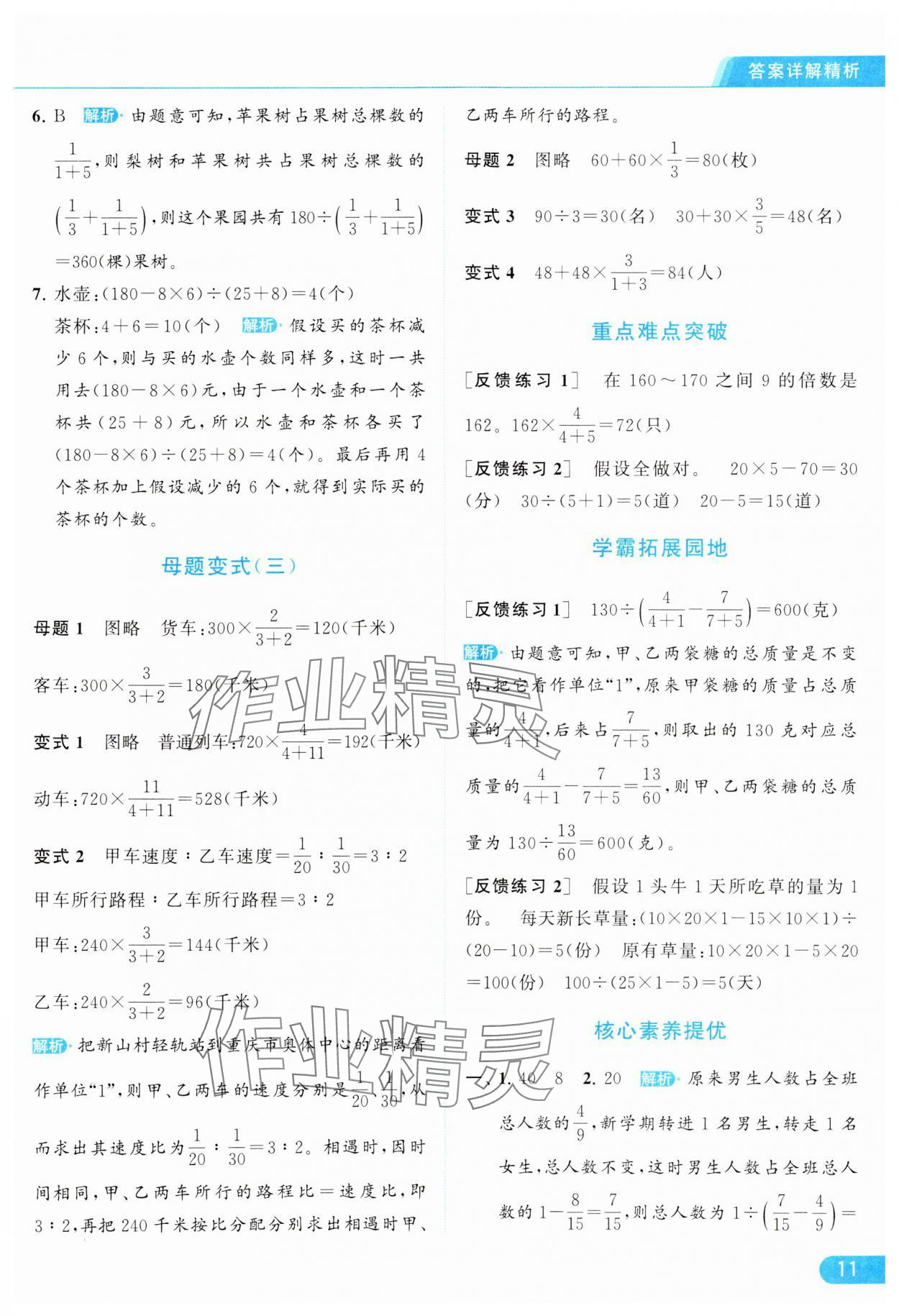 2024年亮点给力提优课时作业本六年级数学下册江苏版 参考答案第11页