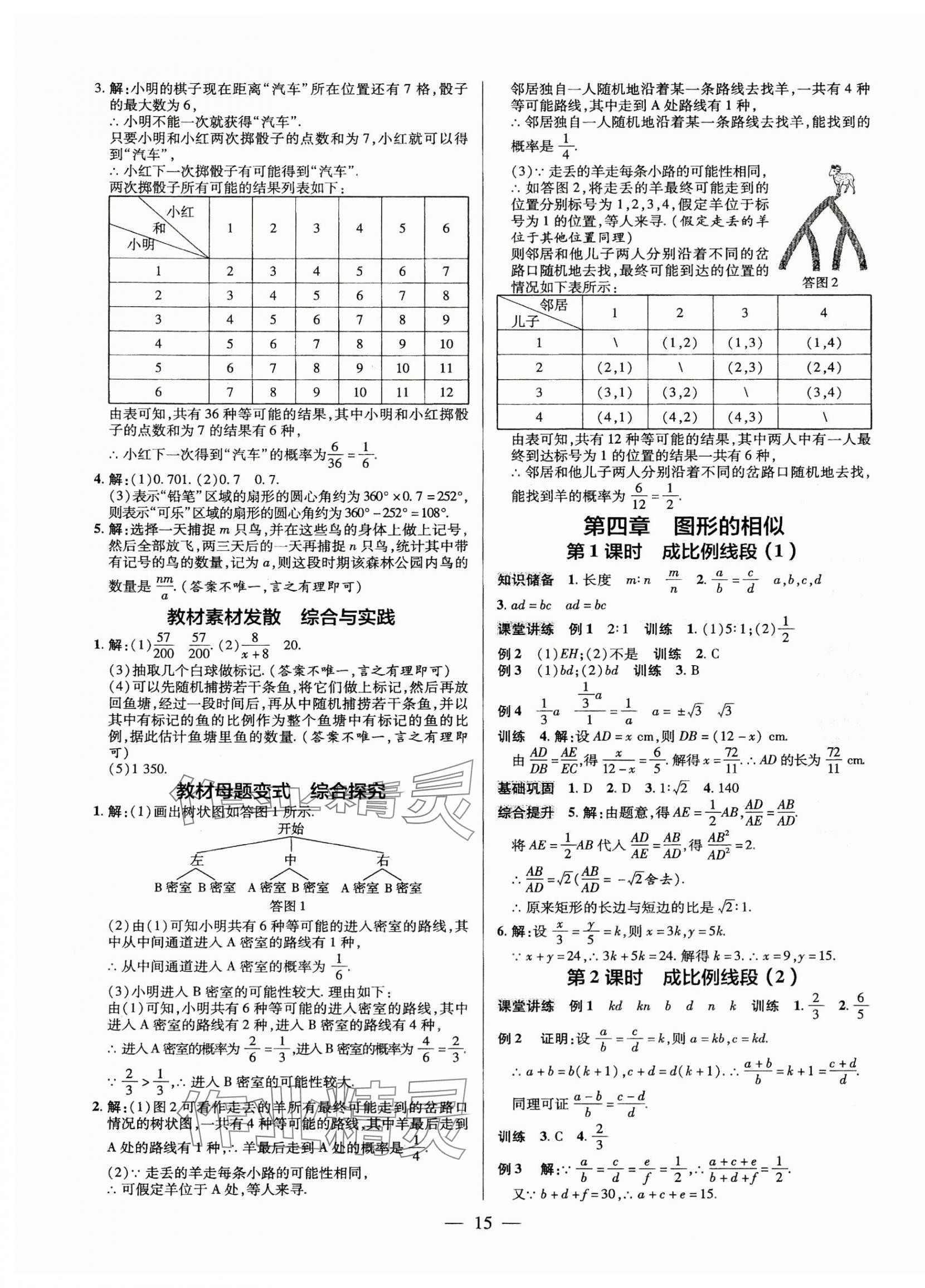 2025年領(lǐng)跑作業(yè)本九年級數(shù)學(xué)全一冊北師大版 第15頁