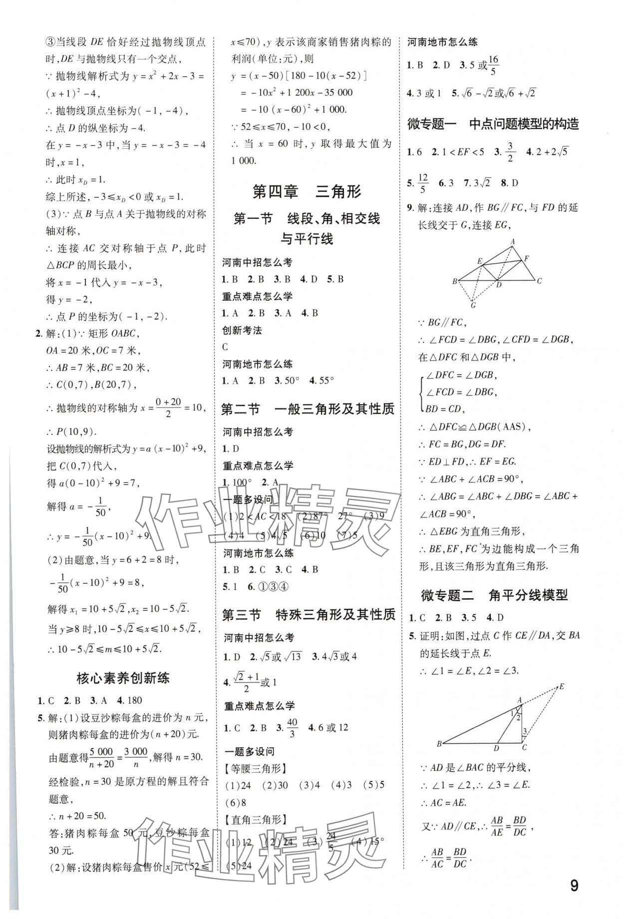 2025年領(lǐng)揚(yáng)文化中考研究數(shù)學(xué)人教版河南專版 參考答案第8頁