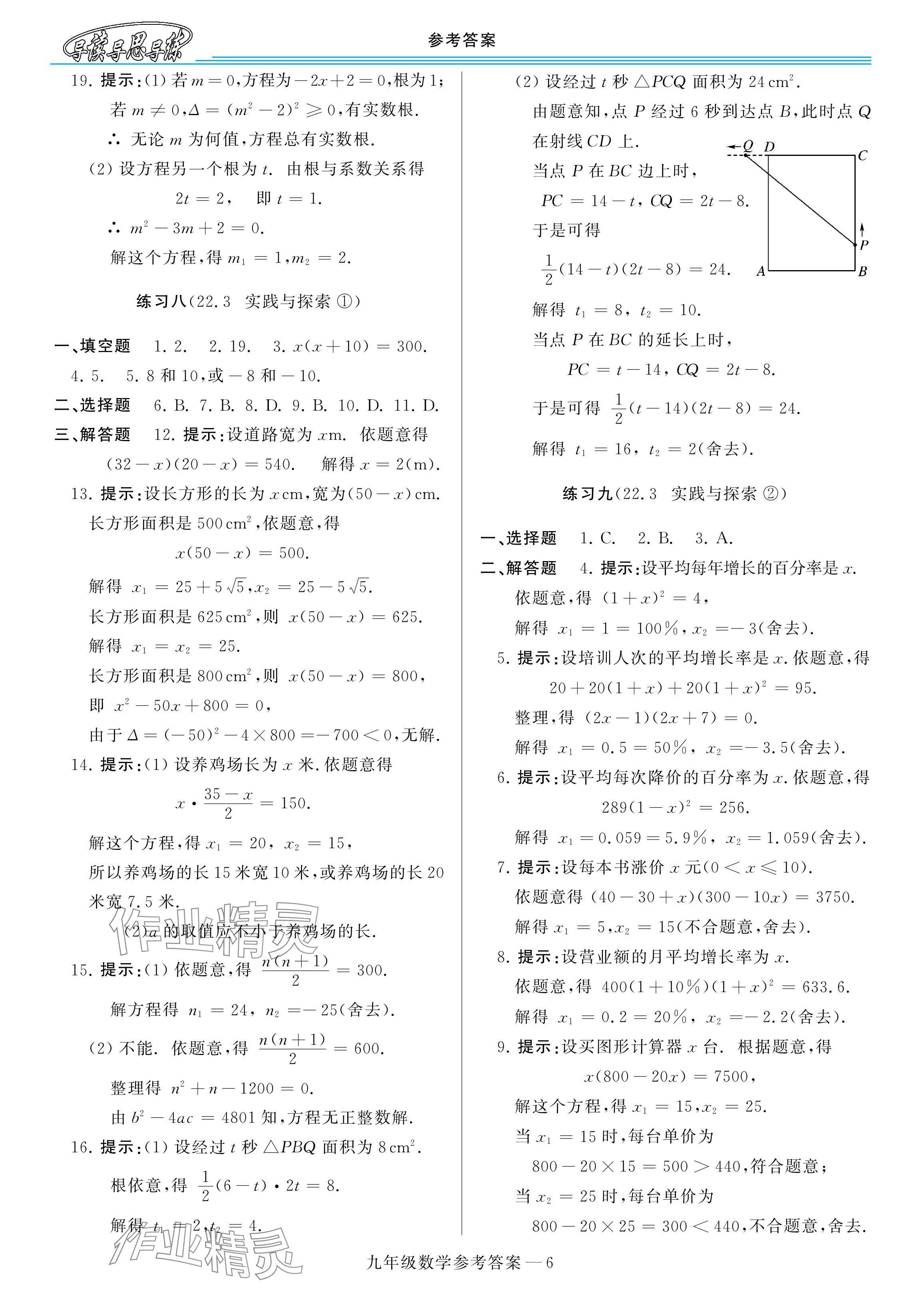 2024年新課程學(xué)習(xí)指導(dǎo)九年級(jí)數(shù)學(xué)全一冊(cè)華師大版 參考答案第6頁