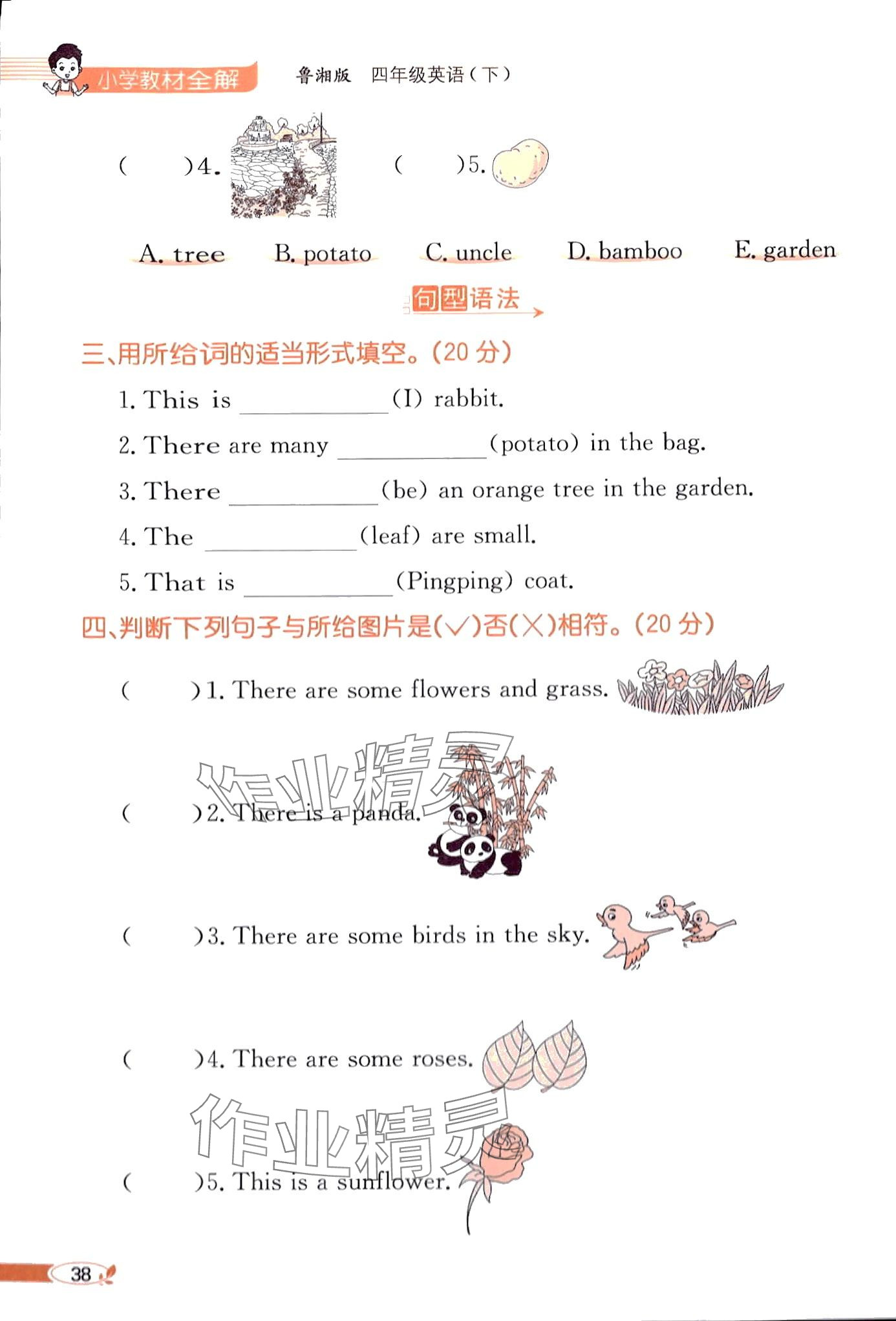 2024年教材课本四年级英语下册湘鲁教版 第38页