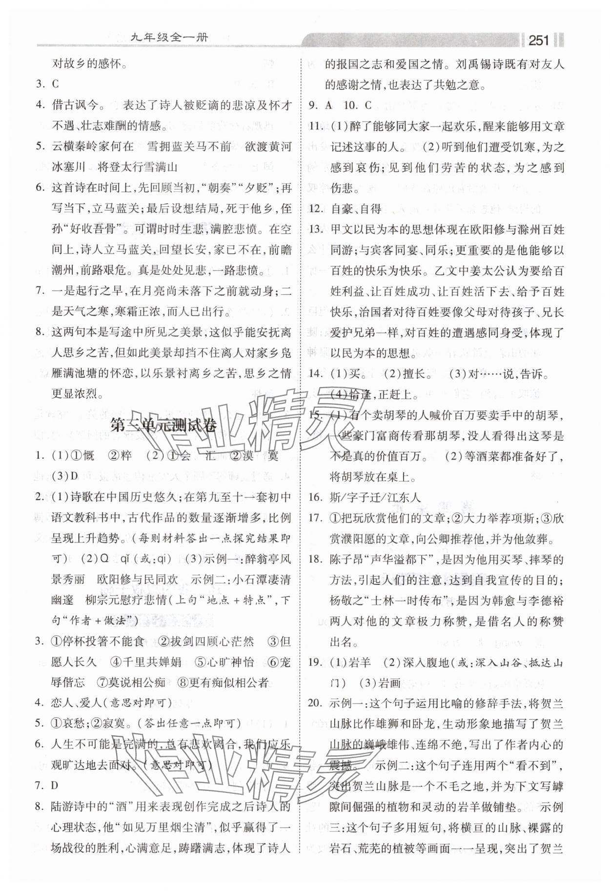 2024年課時練提速訓(xùn)練九年級語文全一冊人教版 第9頁