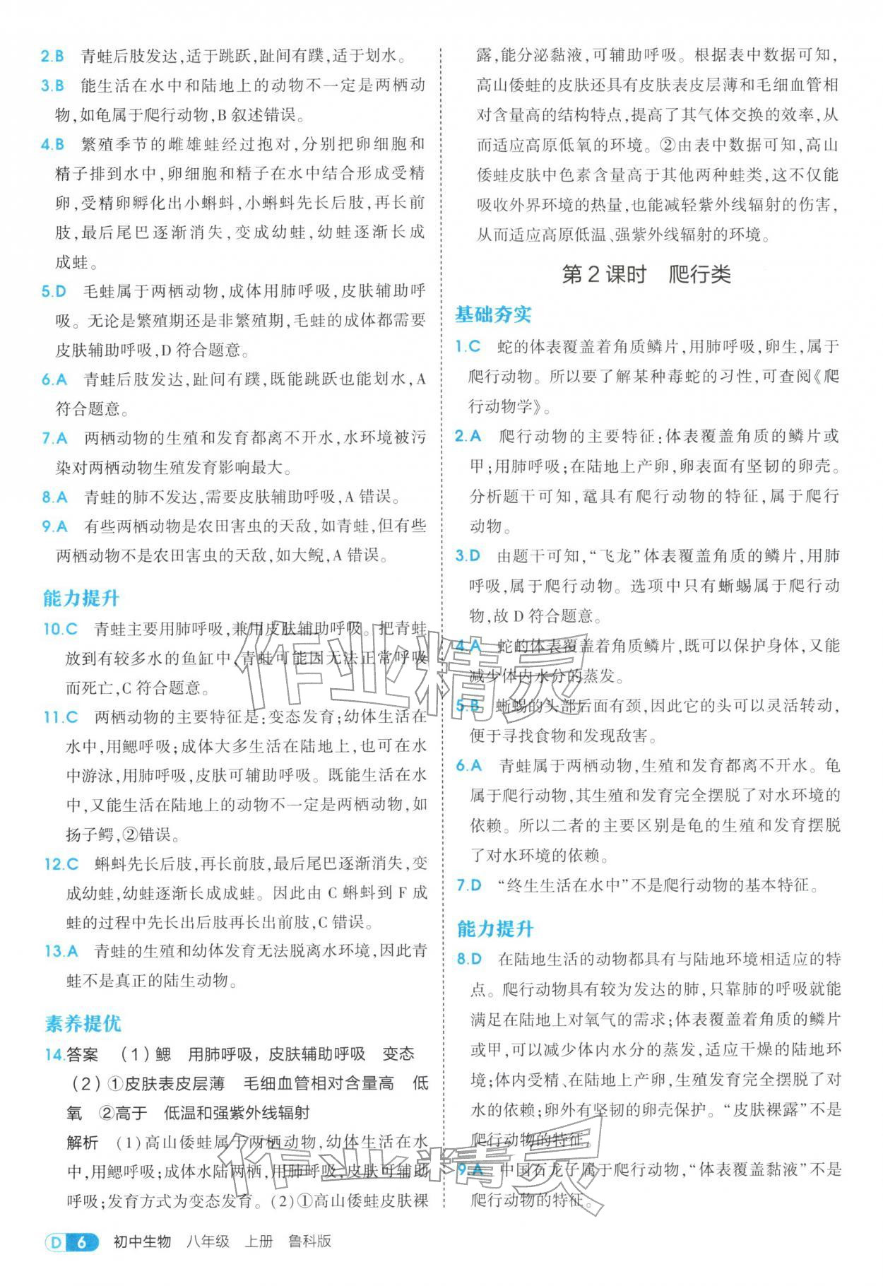 2025年5年中考3年模拟八年级生物上册鲁科版 参考答案第6页