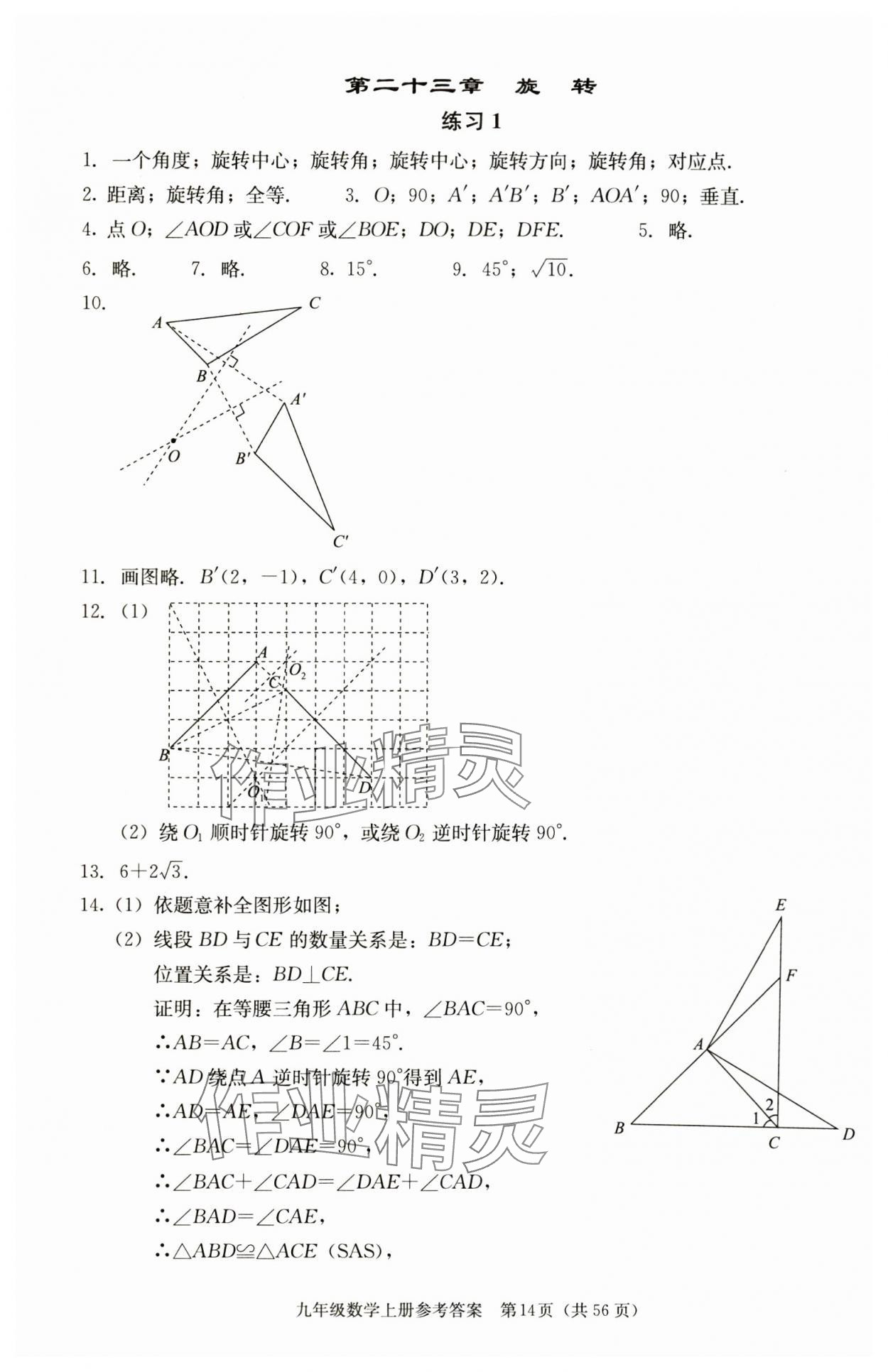 2025年学习探究诊断九年级数学上册人教版 第14页