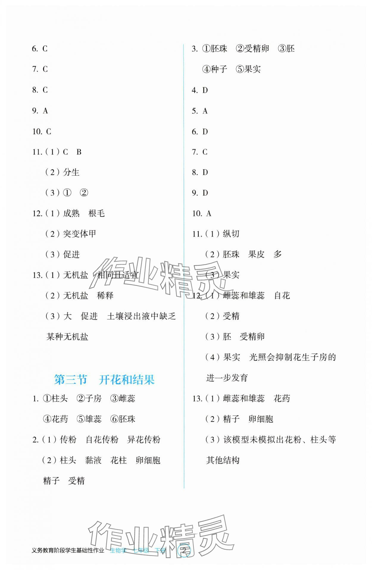 2025年學生基礎性作業七年級生物下冊人教版 第2頁