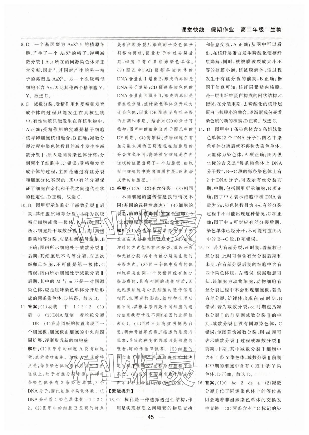 2025年课堂快线假期作业高二生物课标版&nbsp;第5页