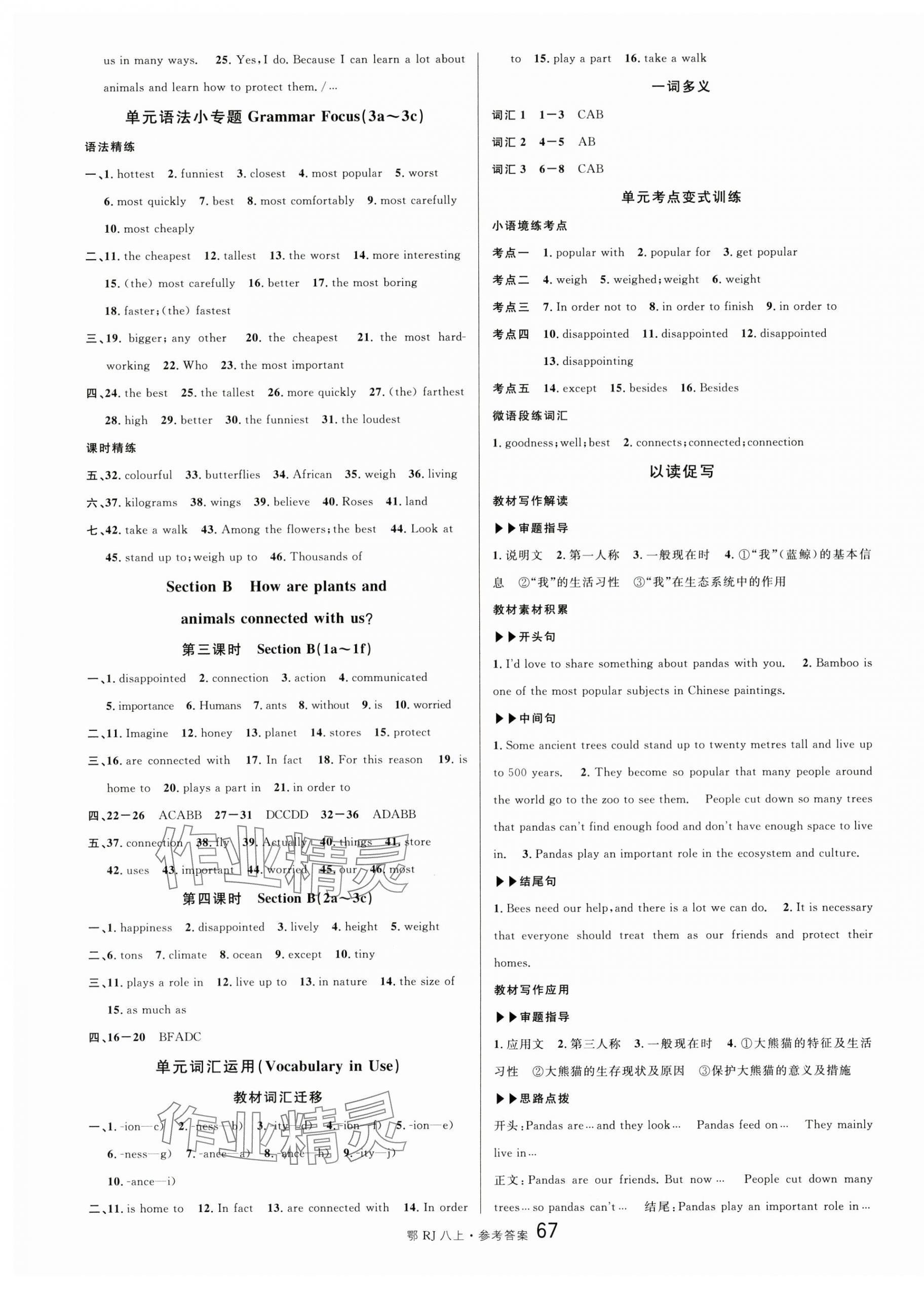 2025年名校課堂八年級(jí)英語(yǔ)上冊(cè)人教版湖北專版 第7頁(yè)