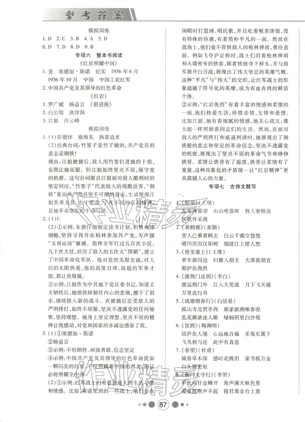 2025年探究学案专项期末卷八年级语文上册人教版 第3页