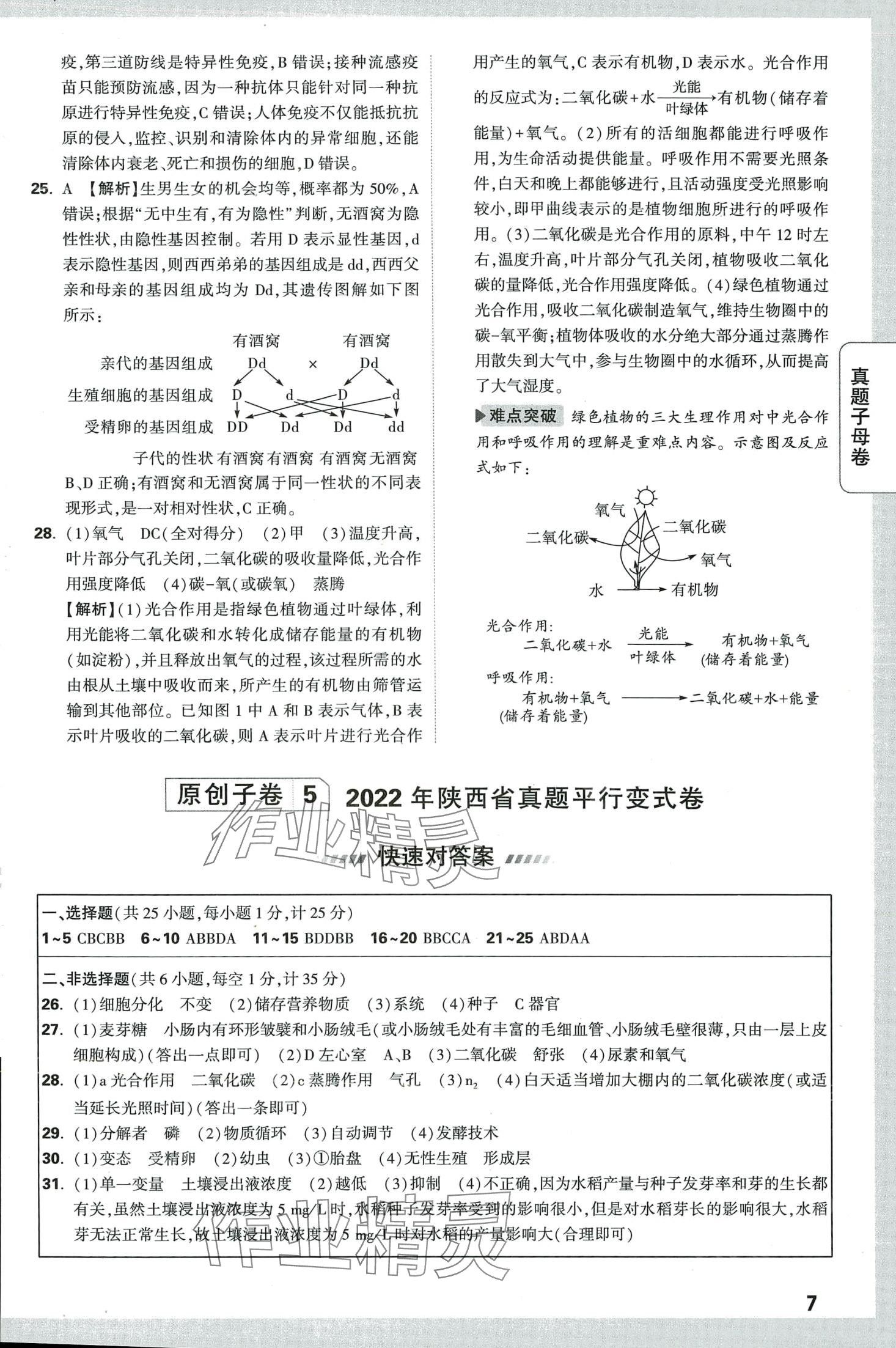 2024年万唯中考真题子母卷生物陕西专版&nbsp;第7页