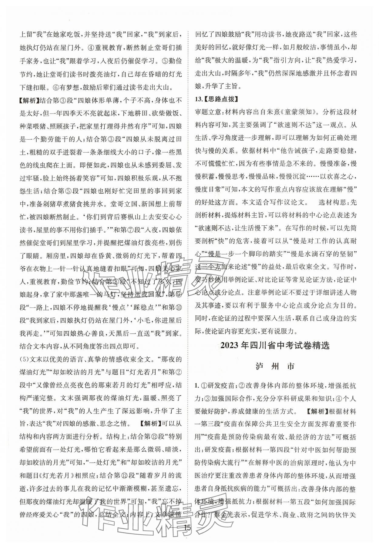 2024年中考必備四川民族出版社語文 參考答案第15頁