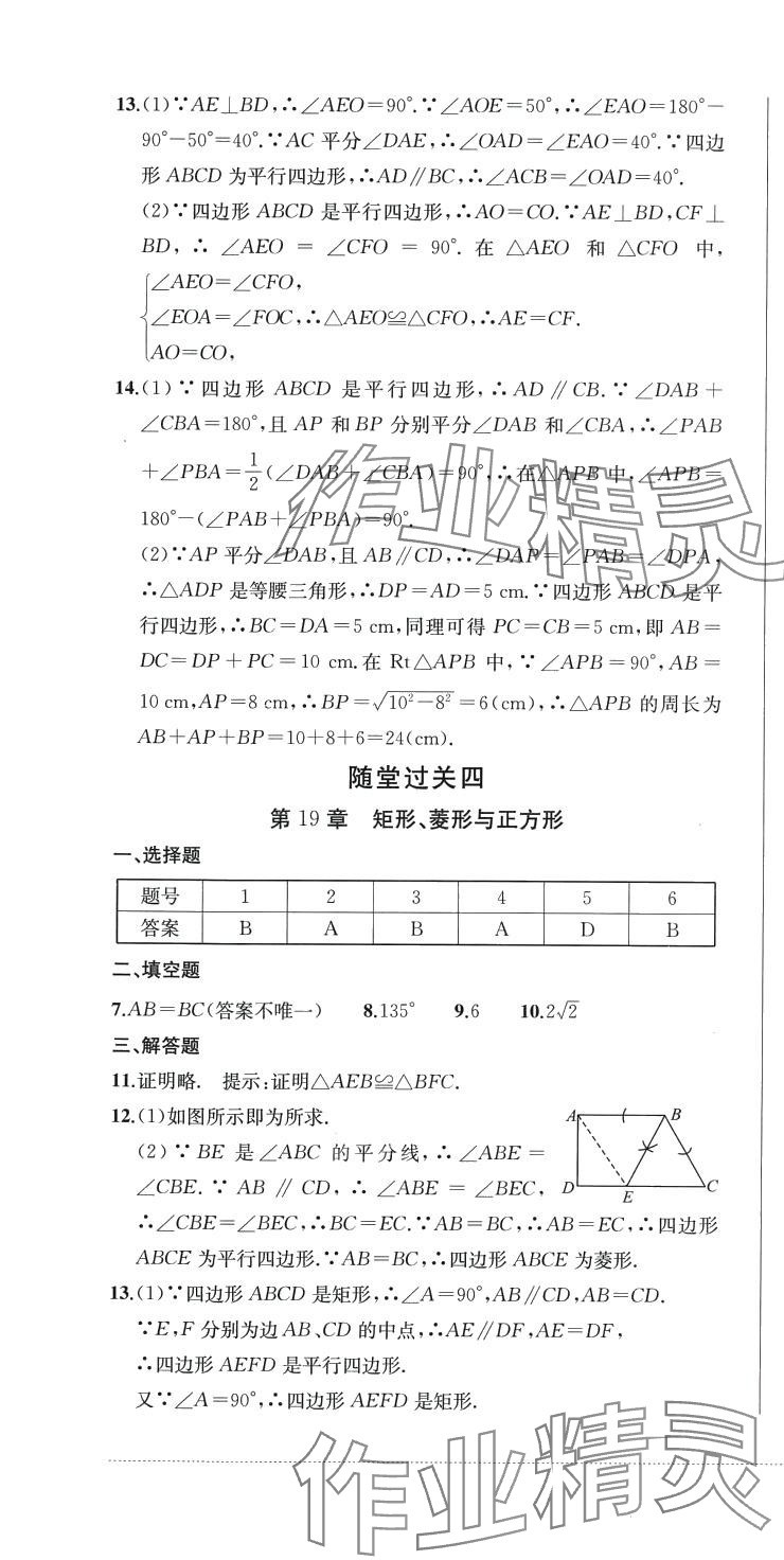 2024年精練過關四川教育出版社八年級數(shù)學下冊華師大版 第4頁