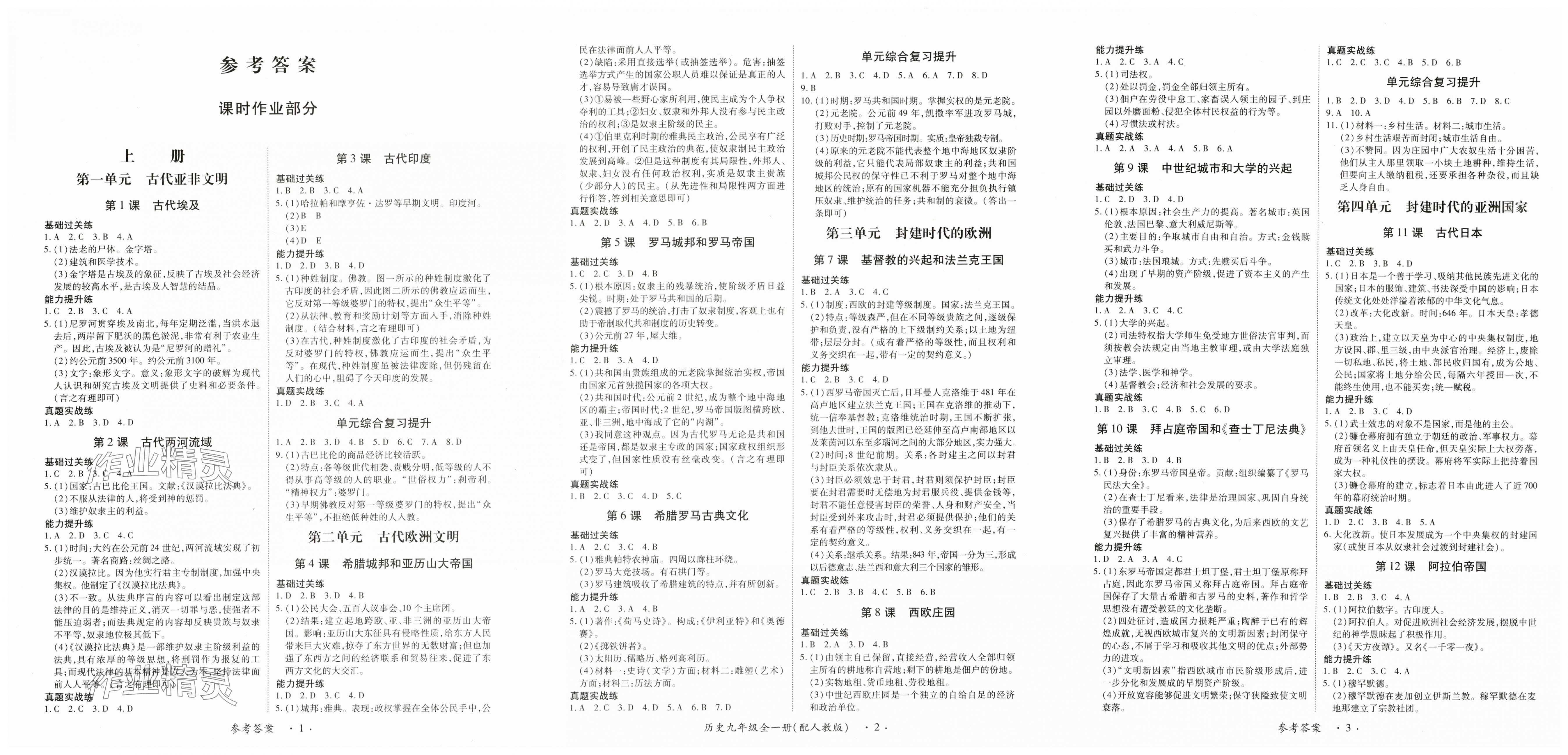 2025年一课一练创新练习九年级历史人教版 第1页