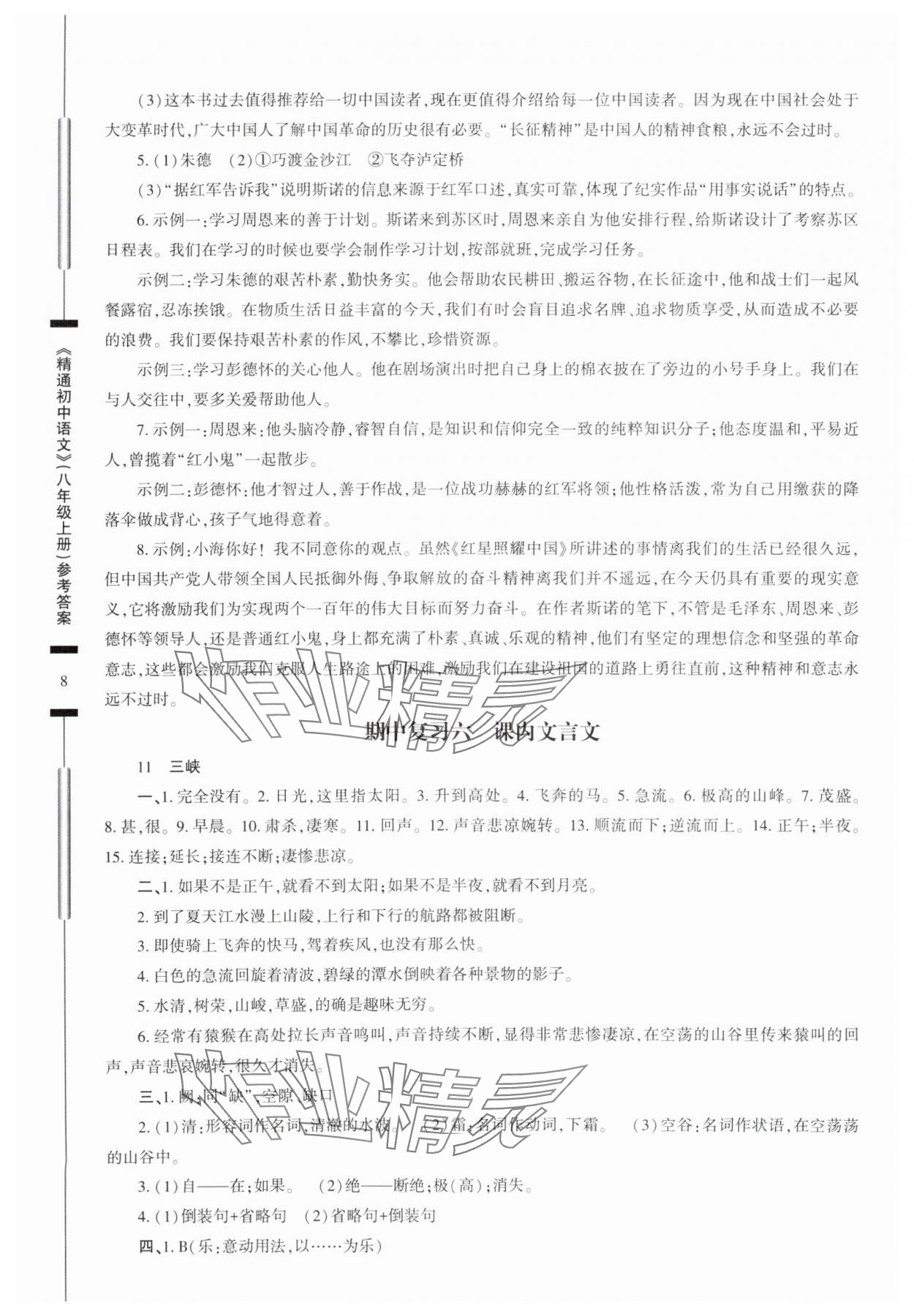 2025年精通初中語(yǔ)文八年級(jí)上冊(cè)人教版 參考答案第8頁(yè)