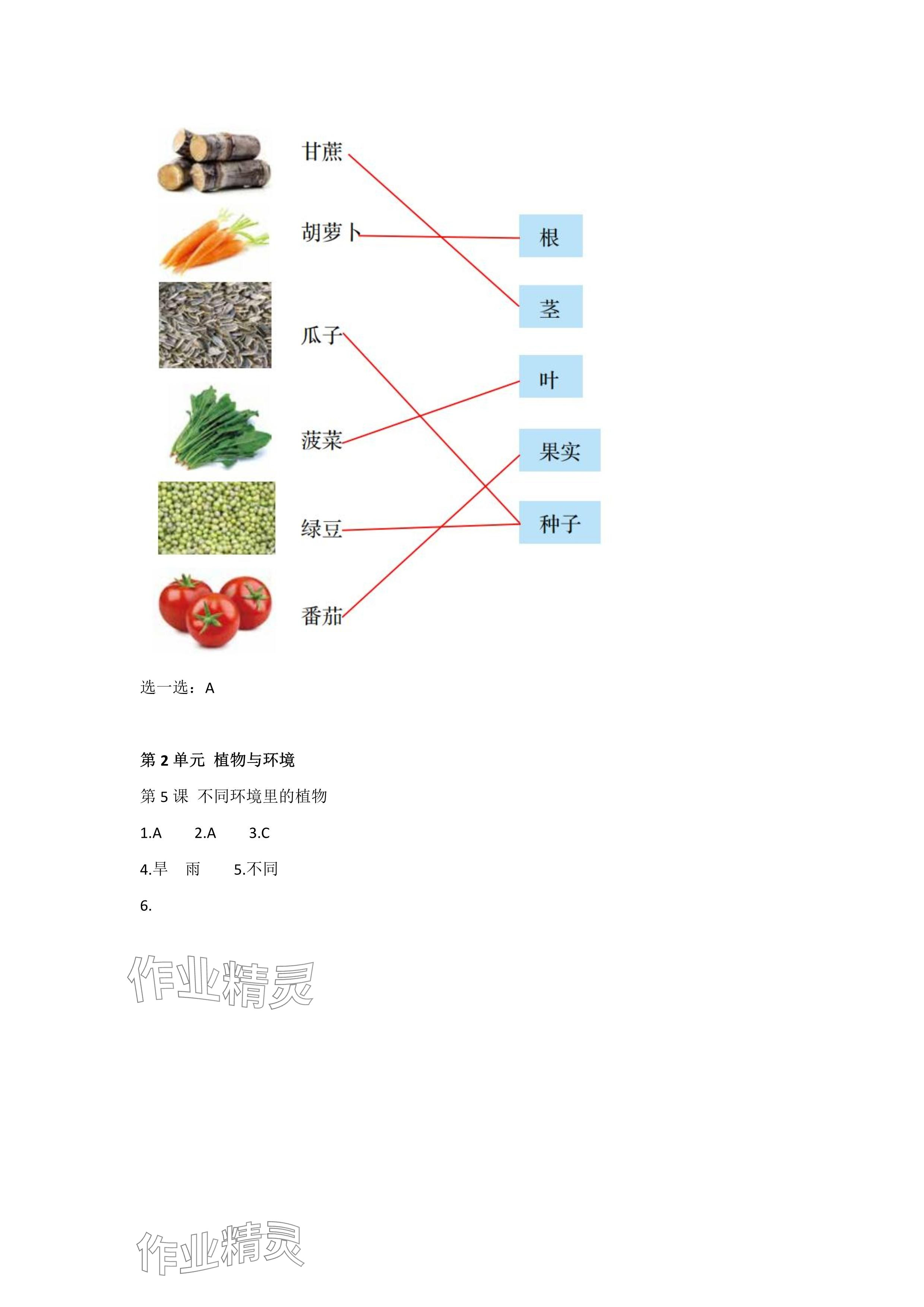 2025年科學(xué)素養(yǎng)提升三年級下冊蘇教版 參考答案第3頁