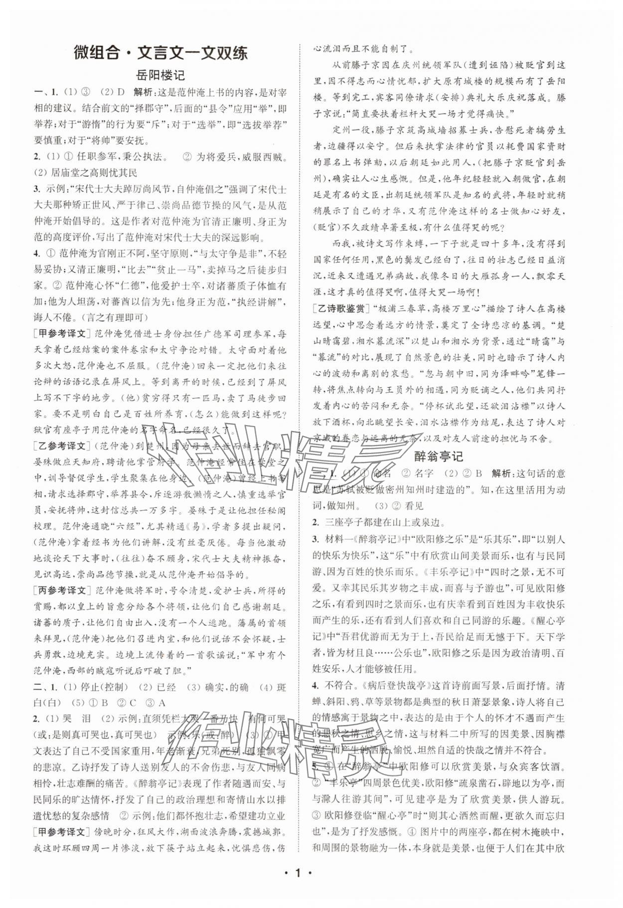 2025年通城學典組合訓練九年級語文江蘇專版 第1頁