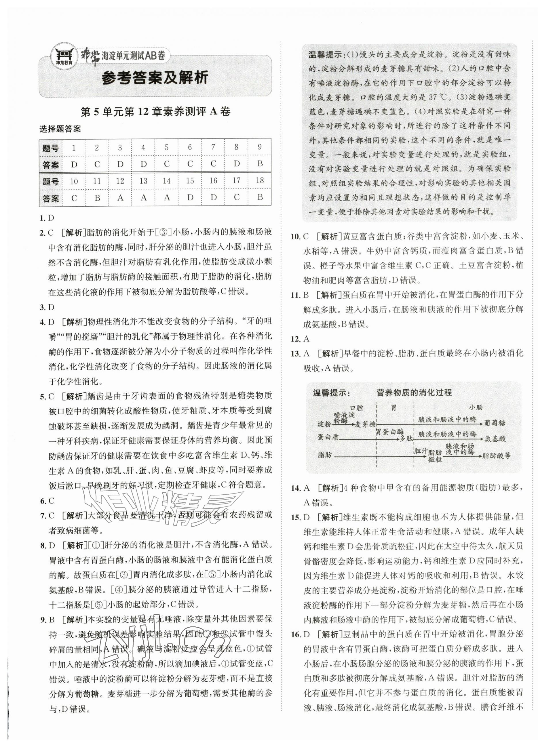 2026年海淀单元测试AB卷八年级生物上册苏教版&nbsp;第1页