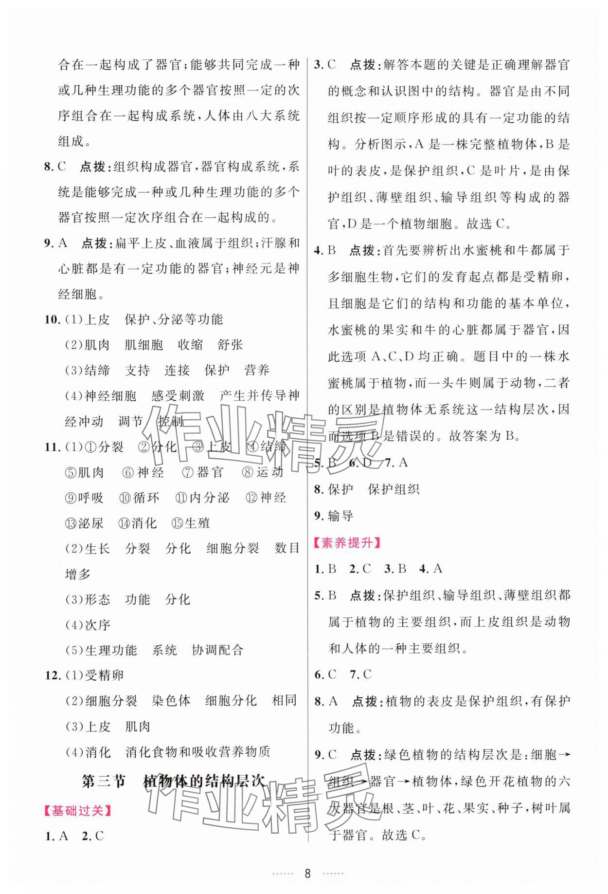 2025年三維數字課堂七年級生物上冊人教版 第8頁