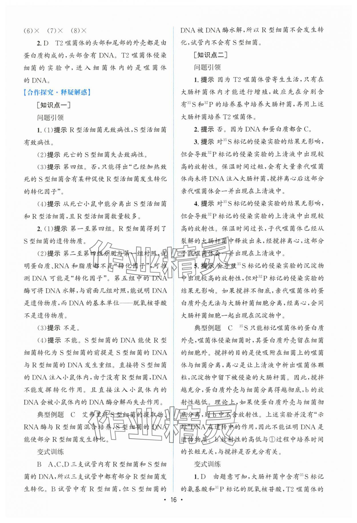 2025年高中同步測控優(yōu)化設計高中生物必修2人教版增強版 參考答案第15頁