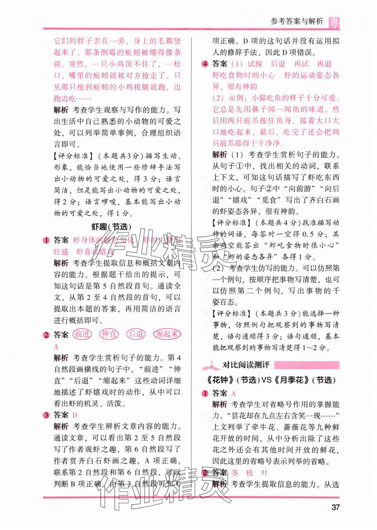 2024年木頭馬閱讀力測評三年級語文下冊人教版B版廣東專版 參考答案第13頁