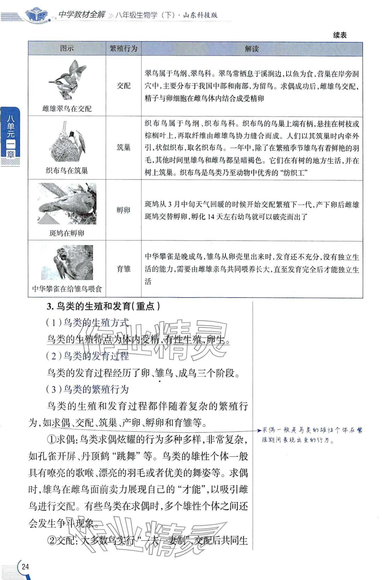 2024年教材課本八年級生物下冊魯科版五四制 第24頁