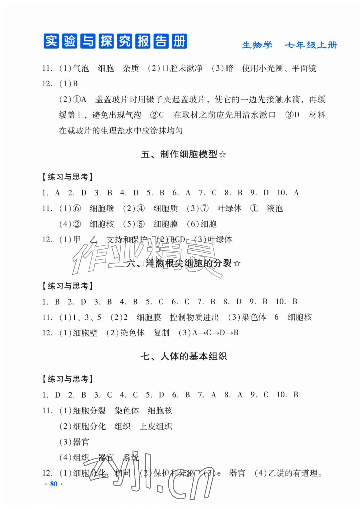 2026年实验与探究报告册七年级生物上册人教版&nbsp;第2页