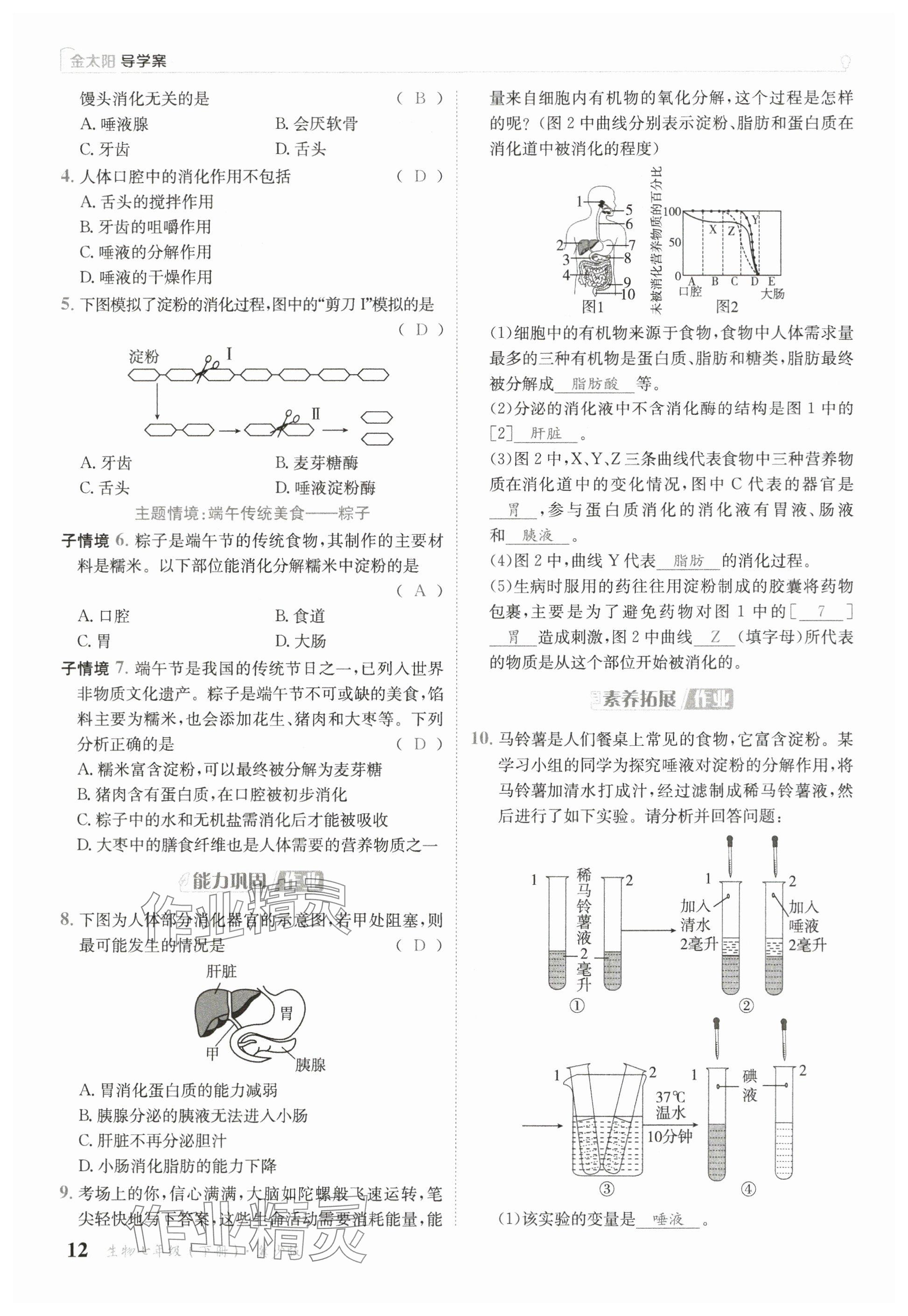 2025年金太陽導學案七年級生物下冊冀少版 參考答案第12頁