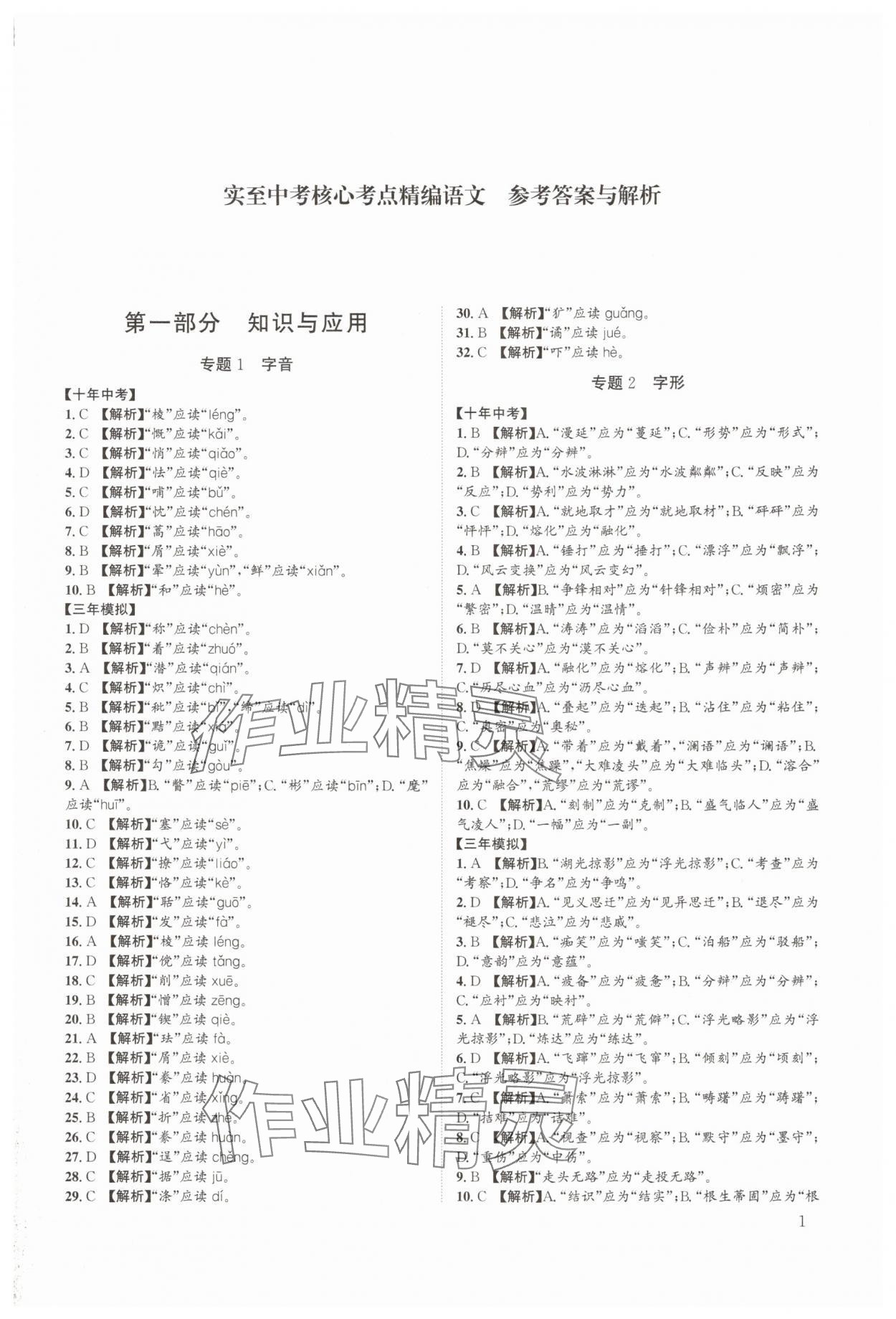 2025年實至中考核心考點精編語文中考成都專版 第1頁