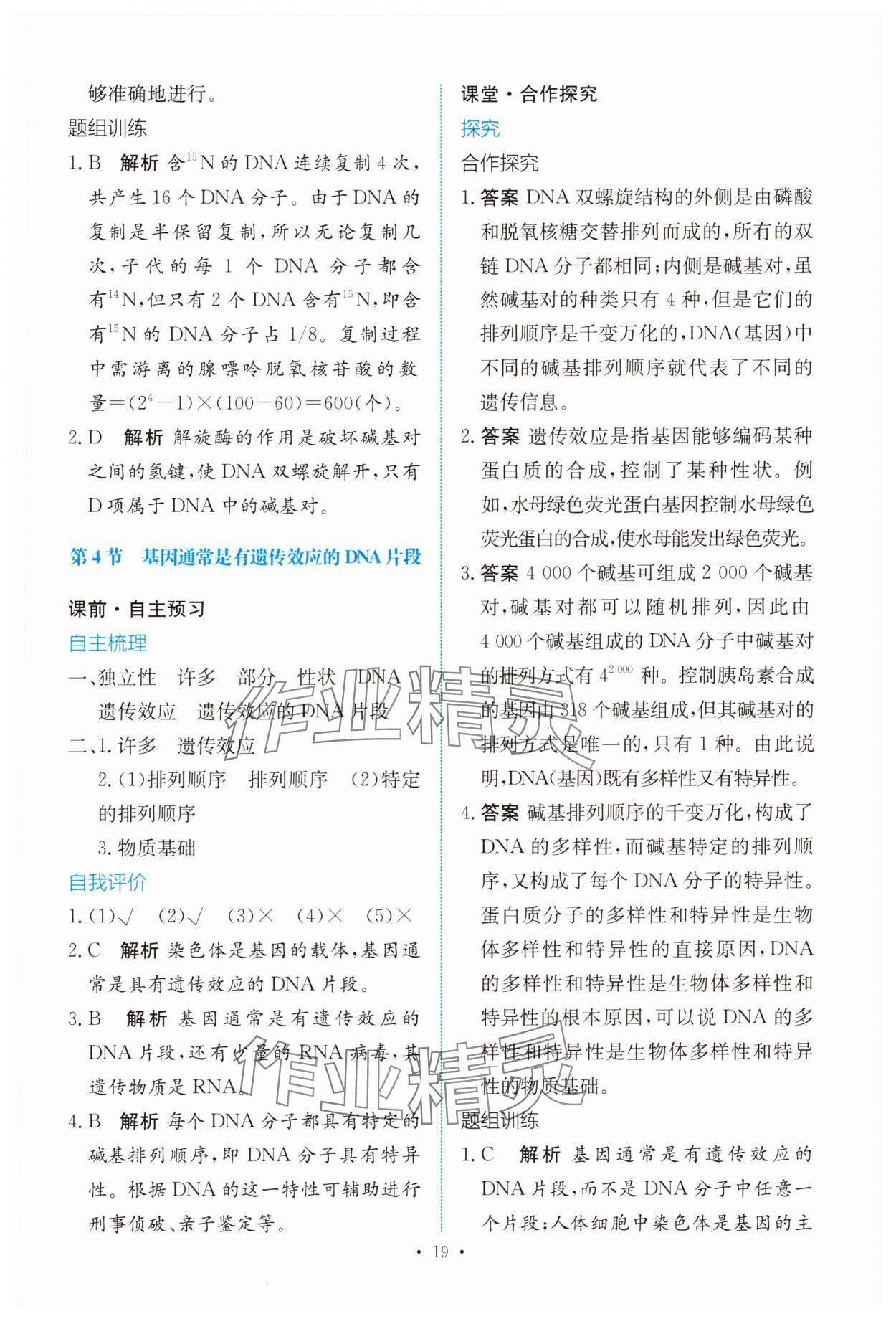 2025年能力培养与测试高中生物必修2人教版 参考答案第18页