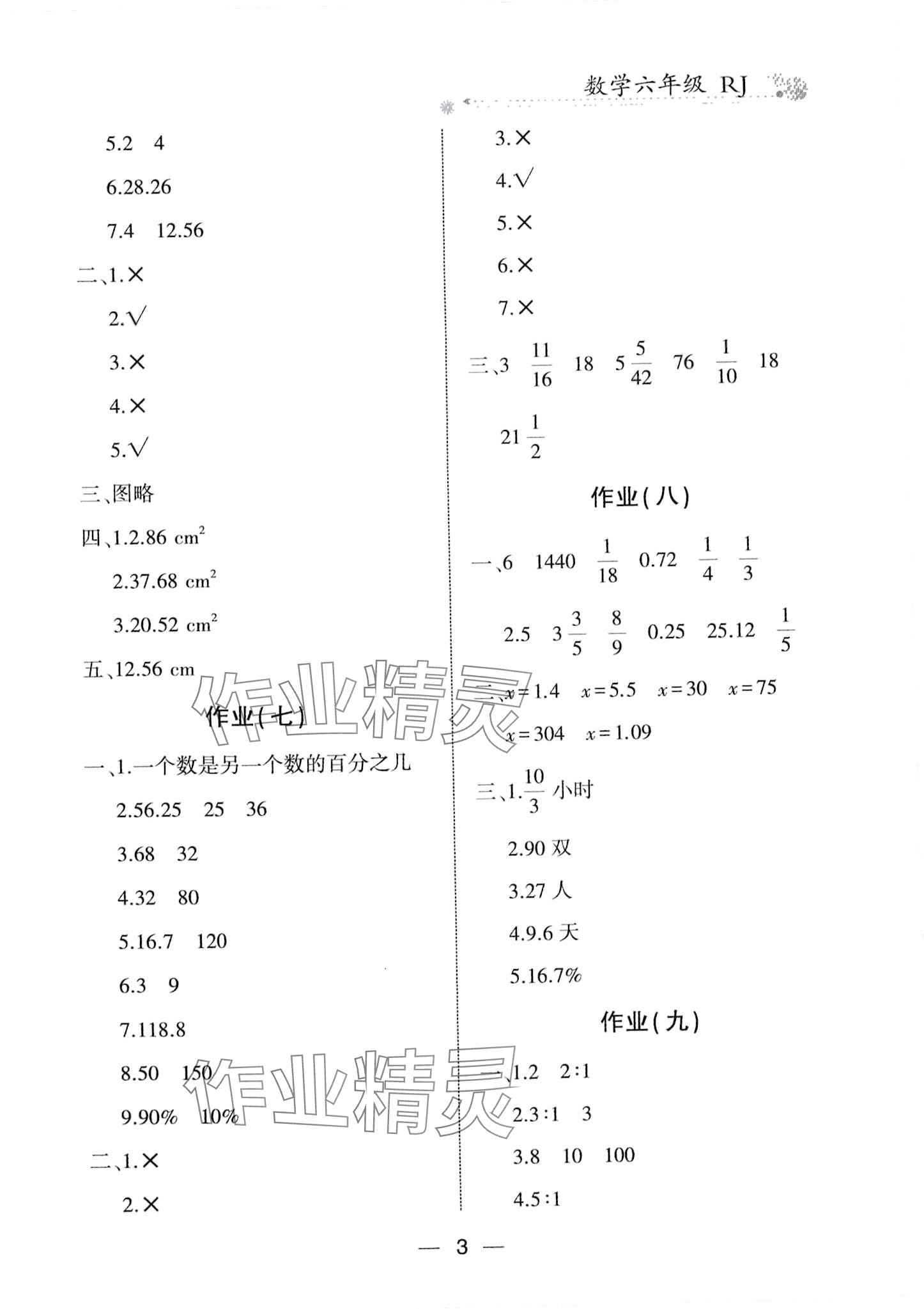 2024年全優(yōu)假期派六年級數(shù)學(xué)人教版 第3頁