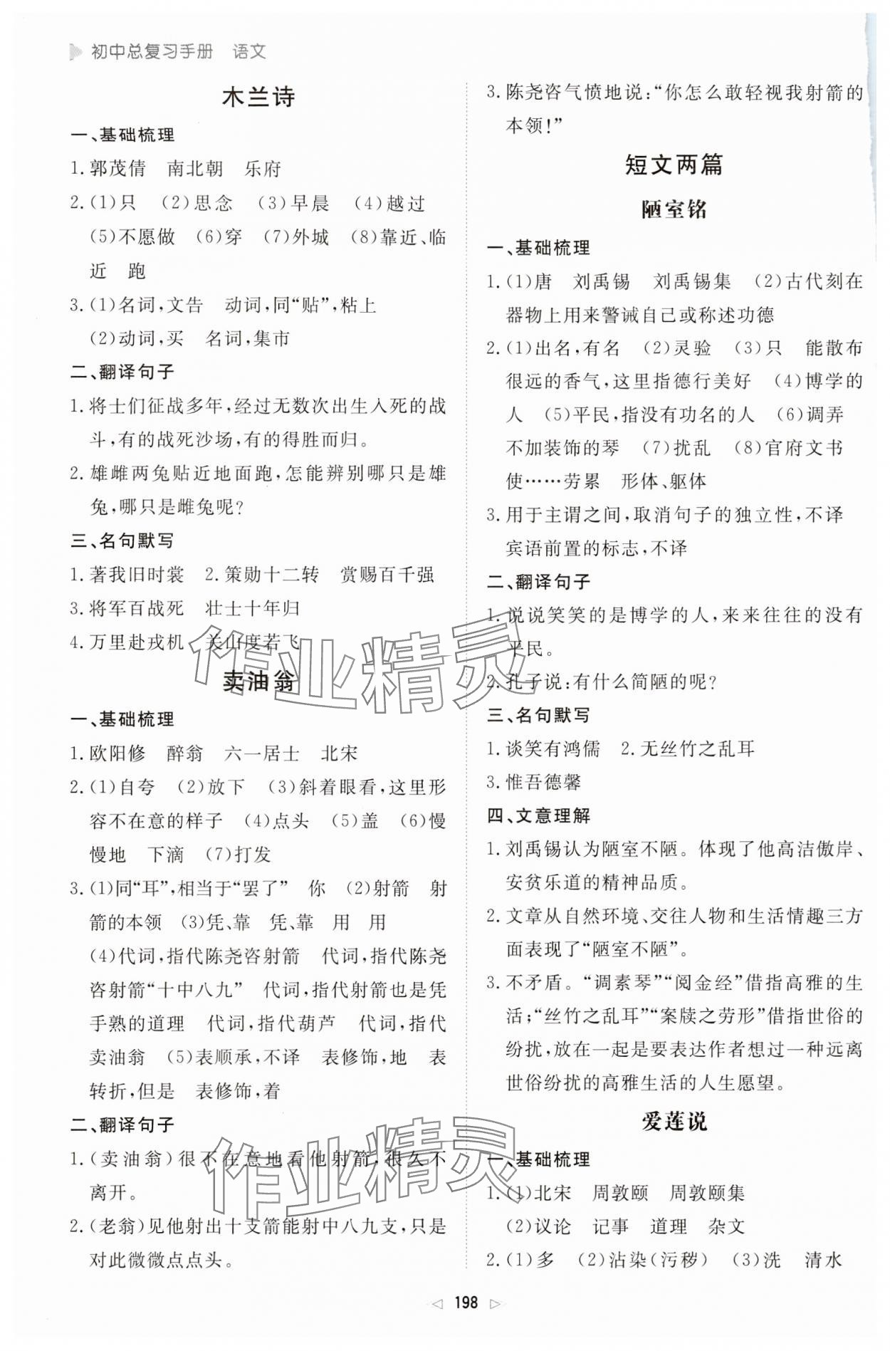 2024年初中總復習手冊新世紀出版社語文 第4頁