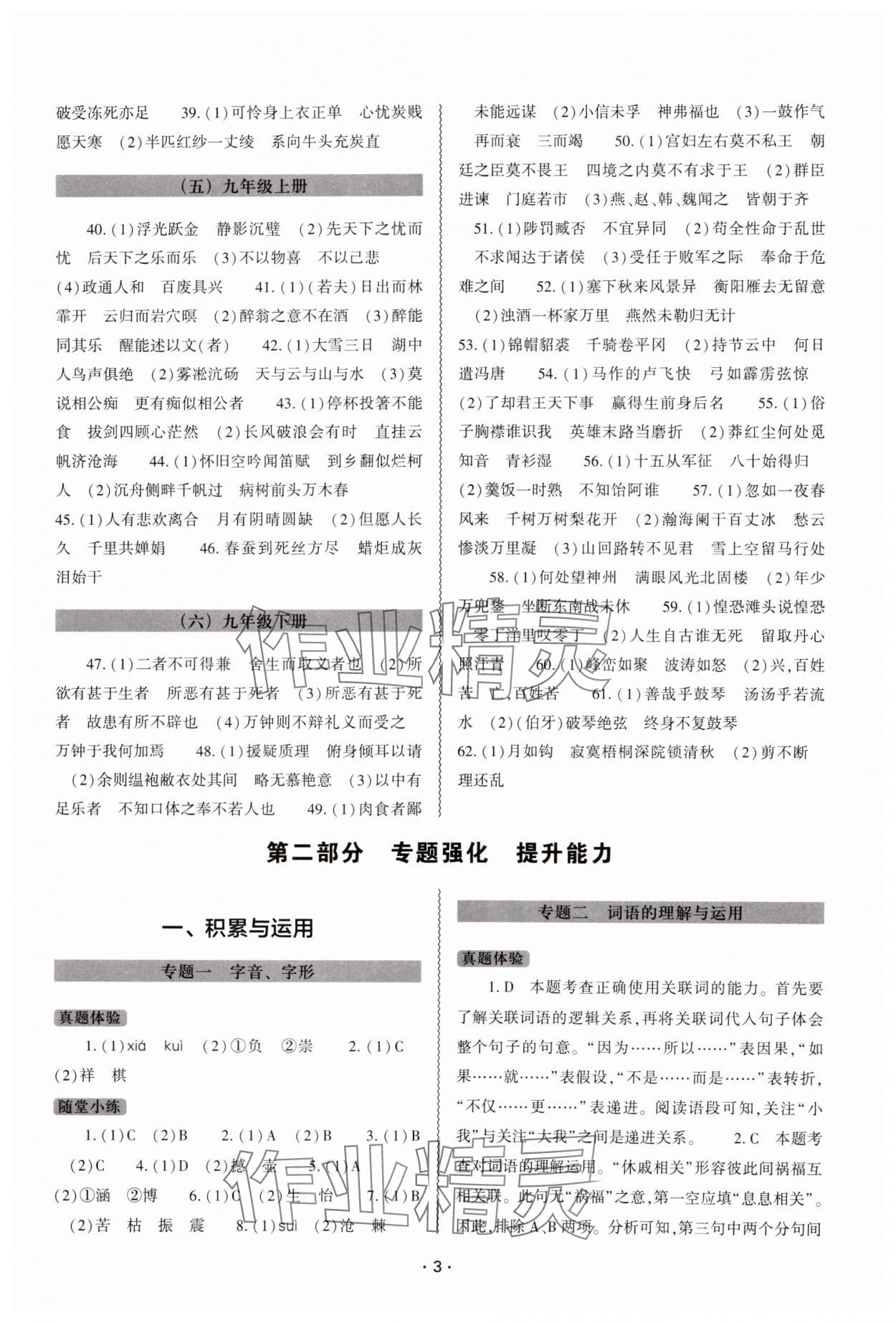 2025年中考復(fù)習(xí)精講與測(cè)試語(yǔ)文 第3頁(yè)