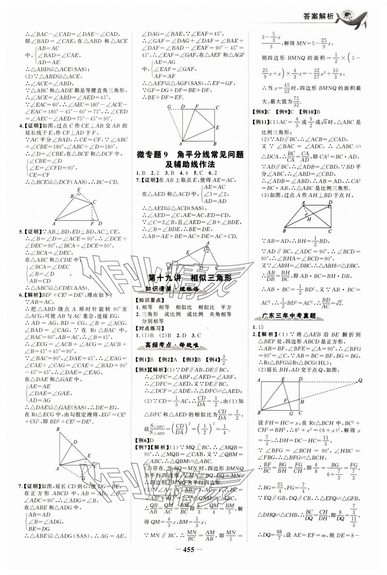 2024年世紀(jì)金榜金榜中考數(shù)學(xué)深圳專版 參考答案第10頁