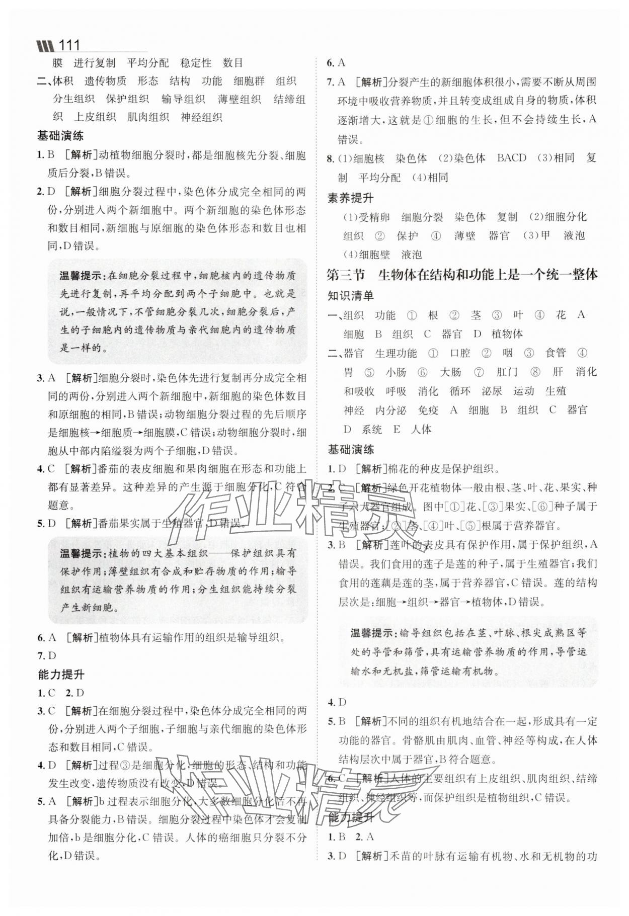 2025年同行學案七年級生物上冊濟南版 參考答案第5頁