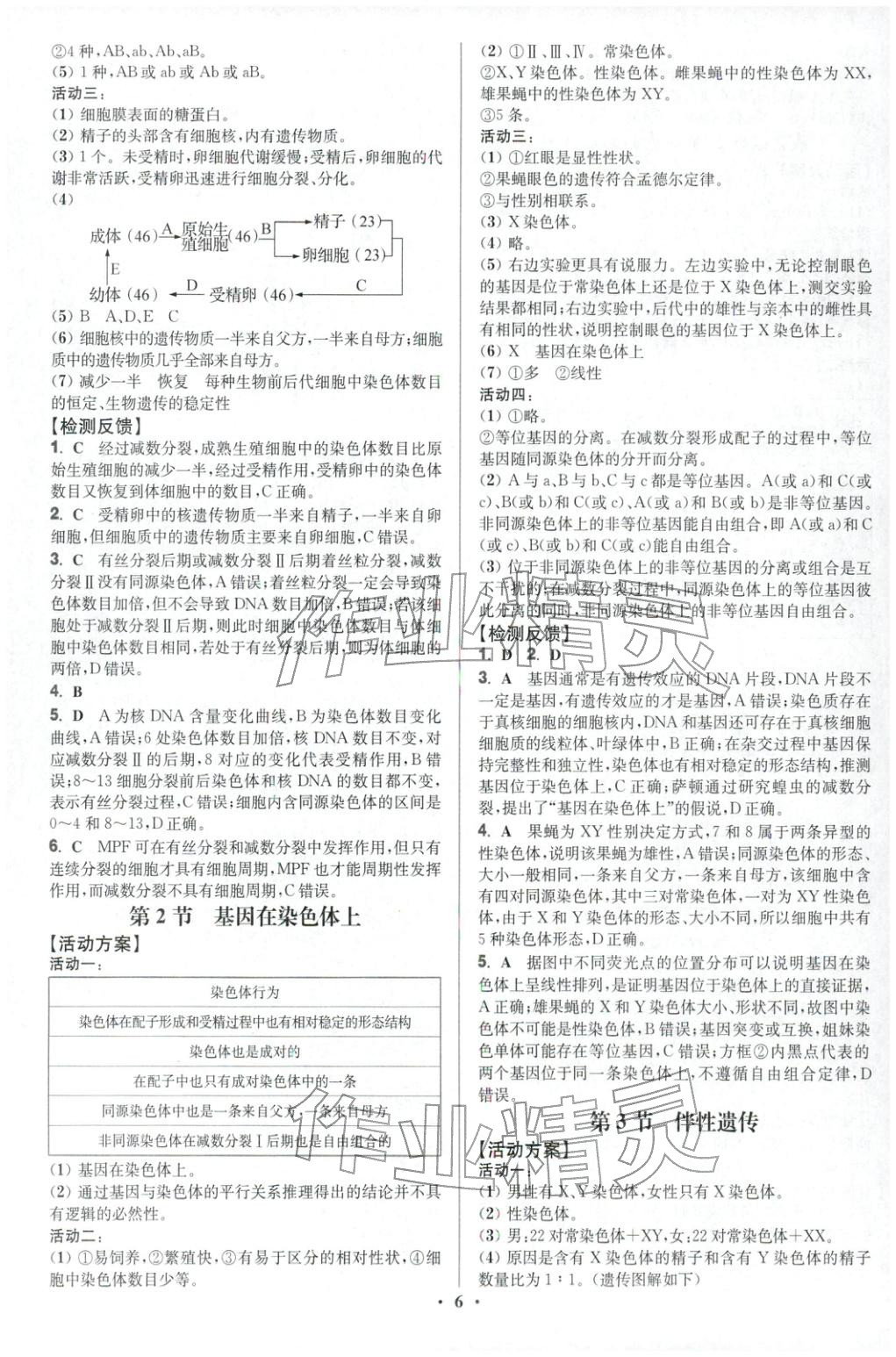 2025年活动单导学课程高中生物必修第二册人教版&nbsp;第6页