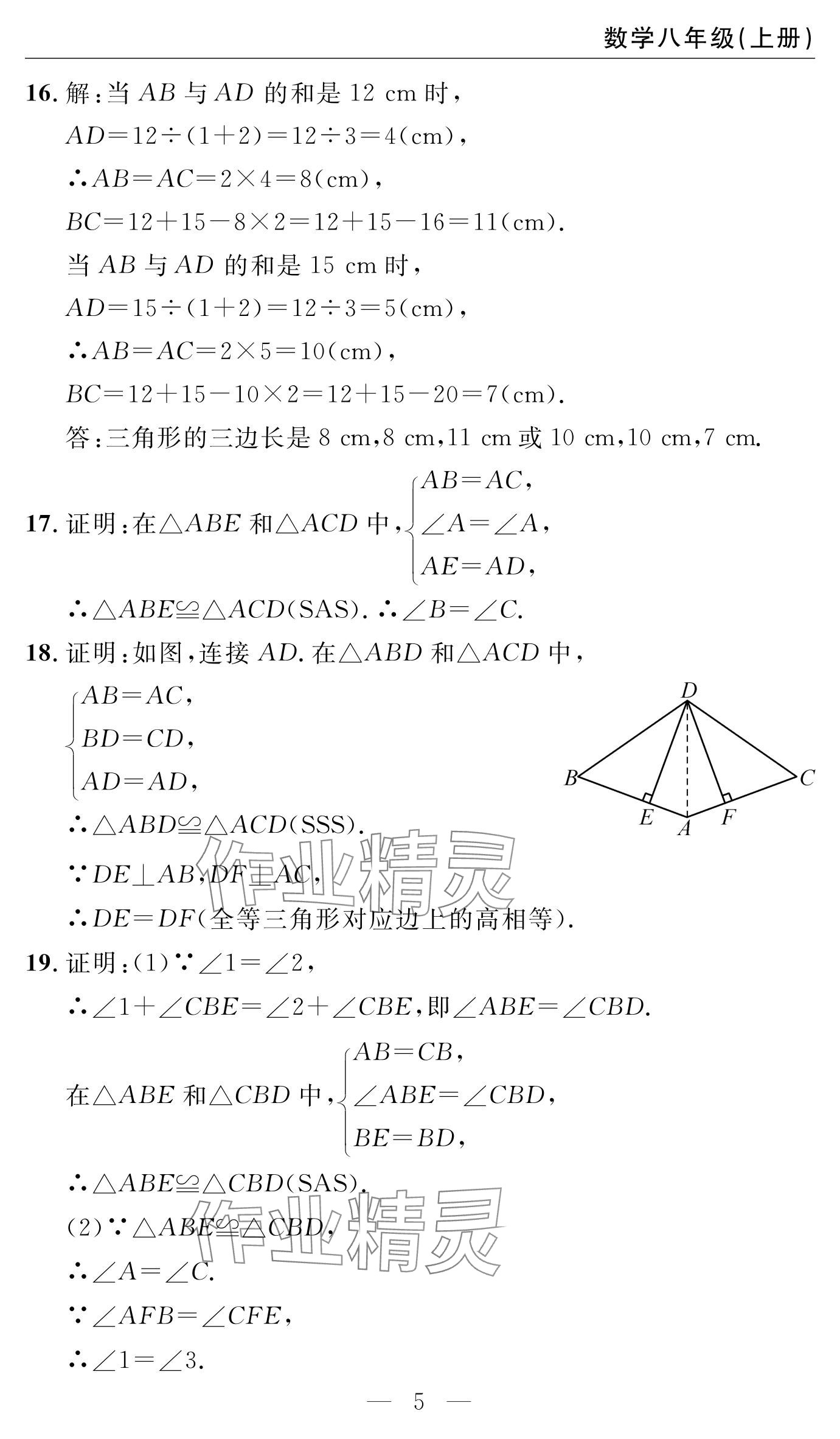 2024年智慧課堂自主評價八年級數學上冊 參考答案第5頁