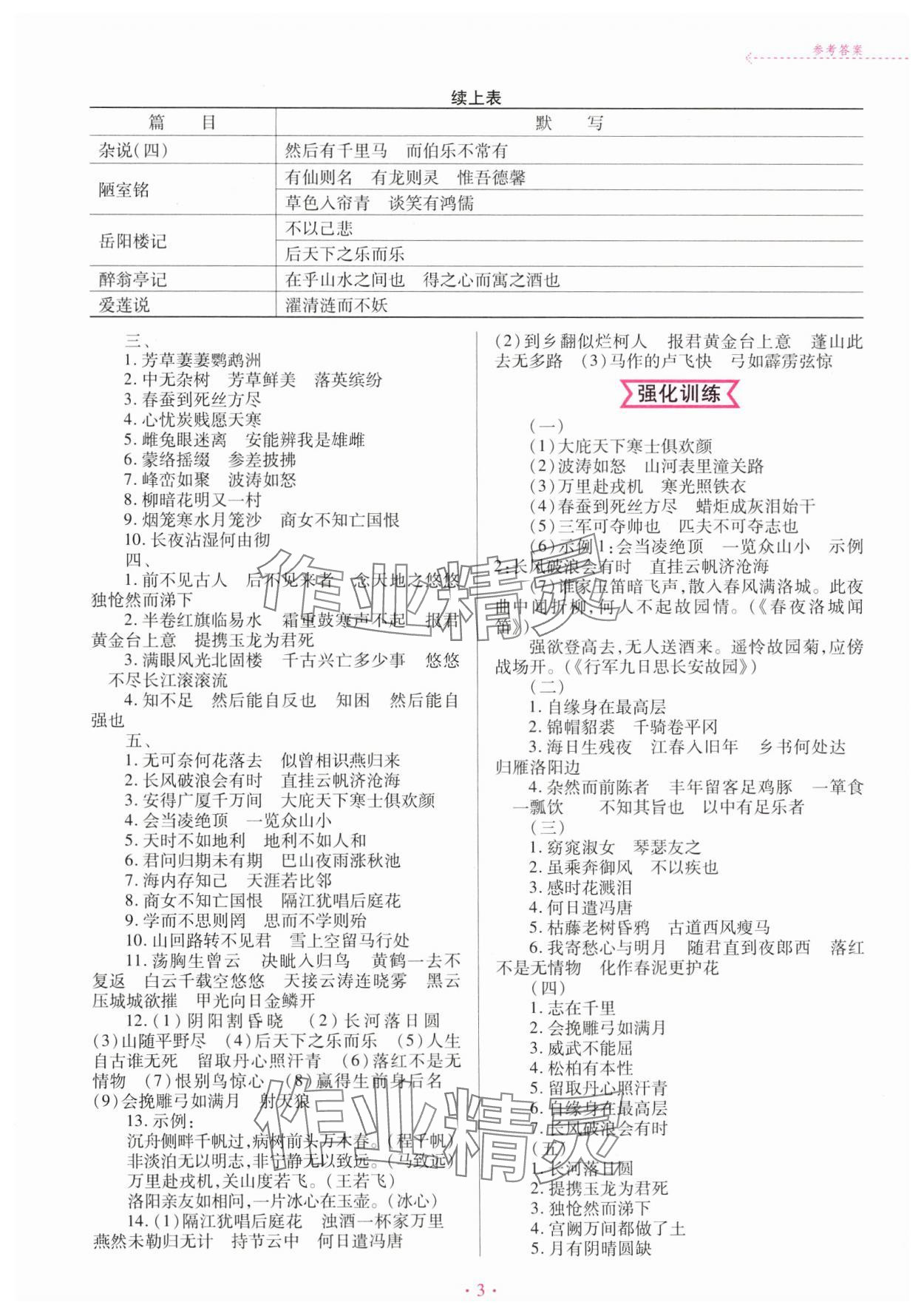2025年廣東初中升學指導強化訓練語文 第3頁