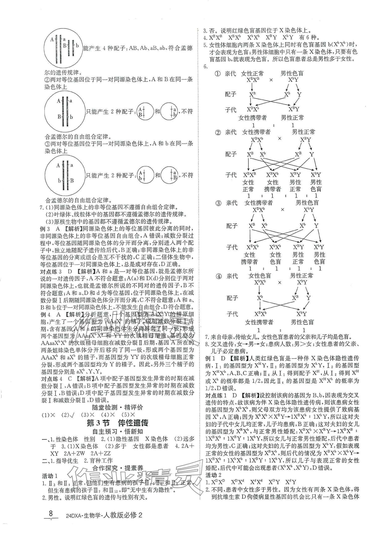 2024年金太陽導(dǎo)學(xué)案高中生物必修2人教版新教材 第8頁