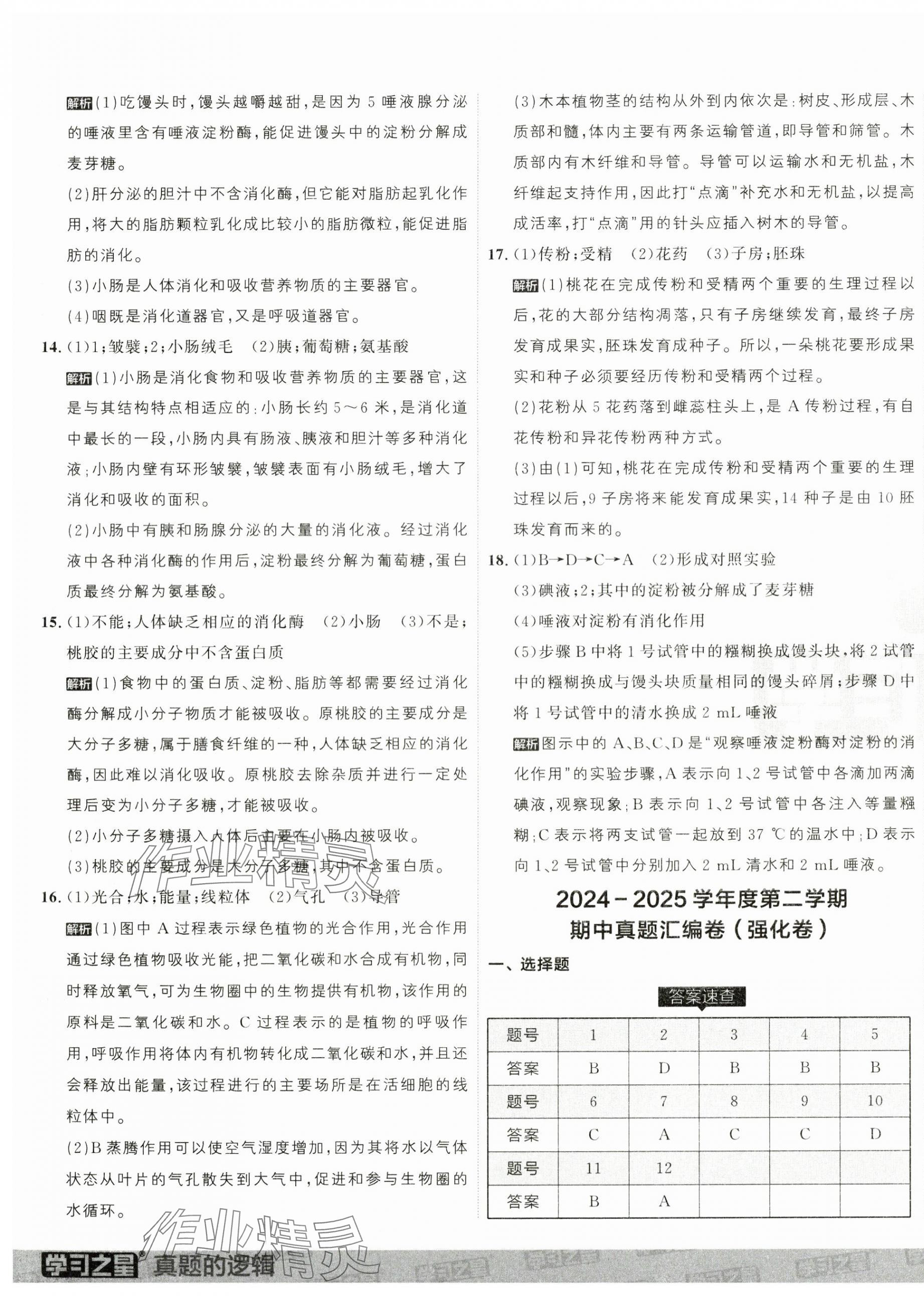 2025年名校大考卷七年級生物下冊人教版大連專版 第5頁