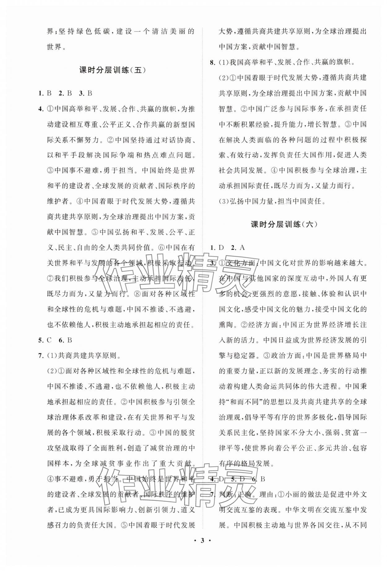2025年同步練習(xí)冊(cè)分層卷九年級(jí)道德與法治下冊(cè)人教版 參考答案第3頁