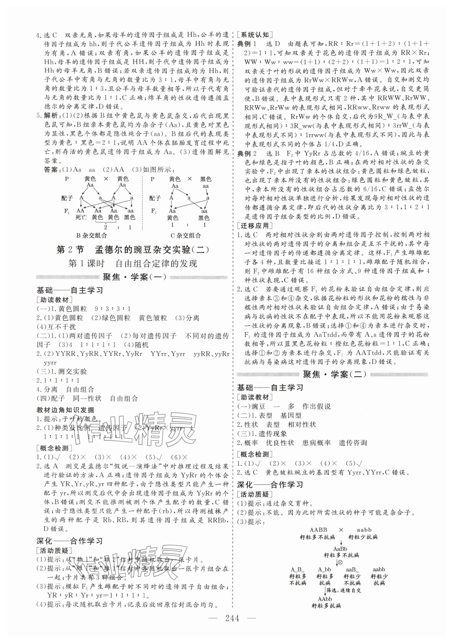 2024年新課程學(xué)案高中同步導(dǎo)學(xué)高中生物必修2人教版 參考答案第4頁