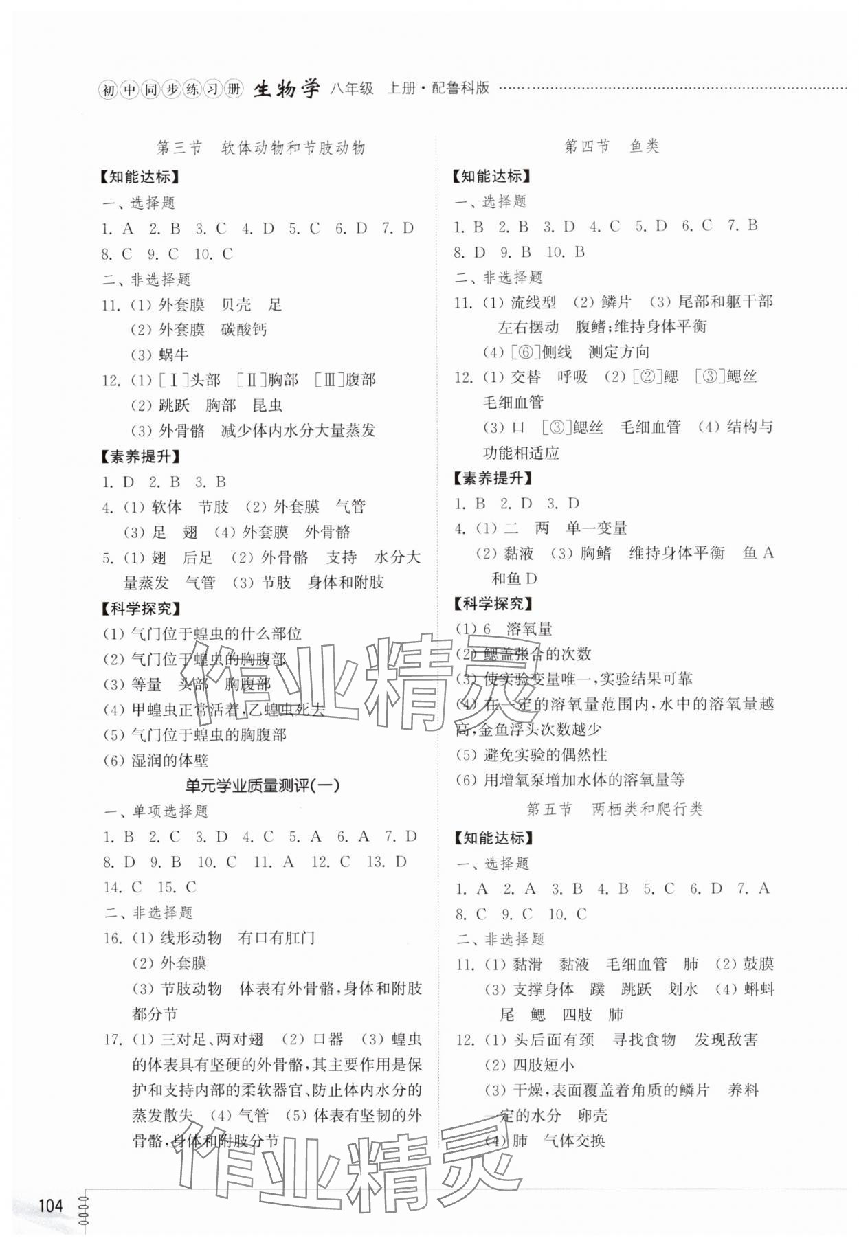 2025年初中同步练习册八年级生物学上册鲁科版54制山东教育出版社 第2页