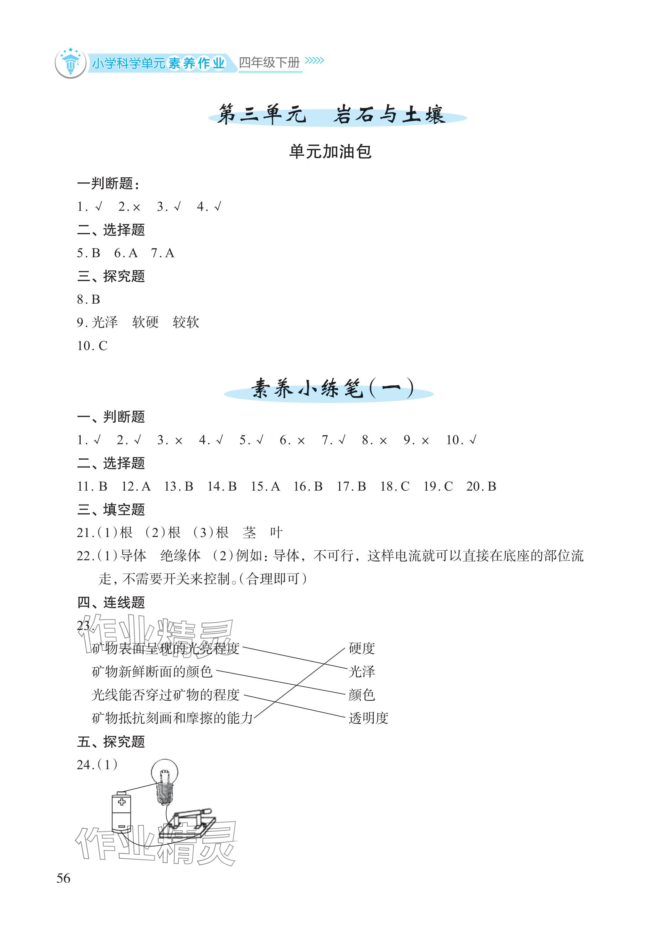 2024年小学单元素养作业四年级科学下册教科版 参考答案第2页