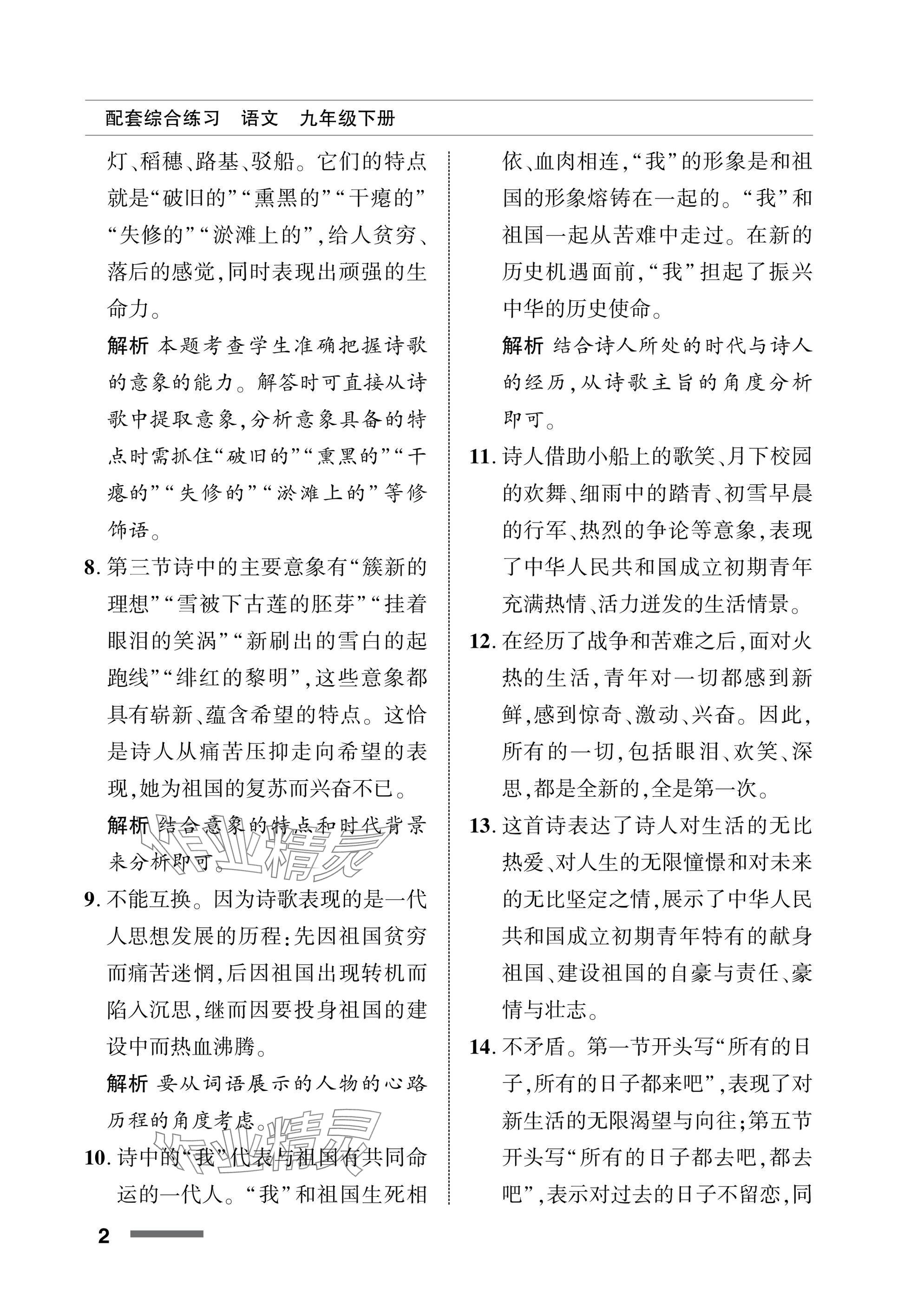 2025年配套综合练习甘肃九年级语文下册人教版 参考答案第2页