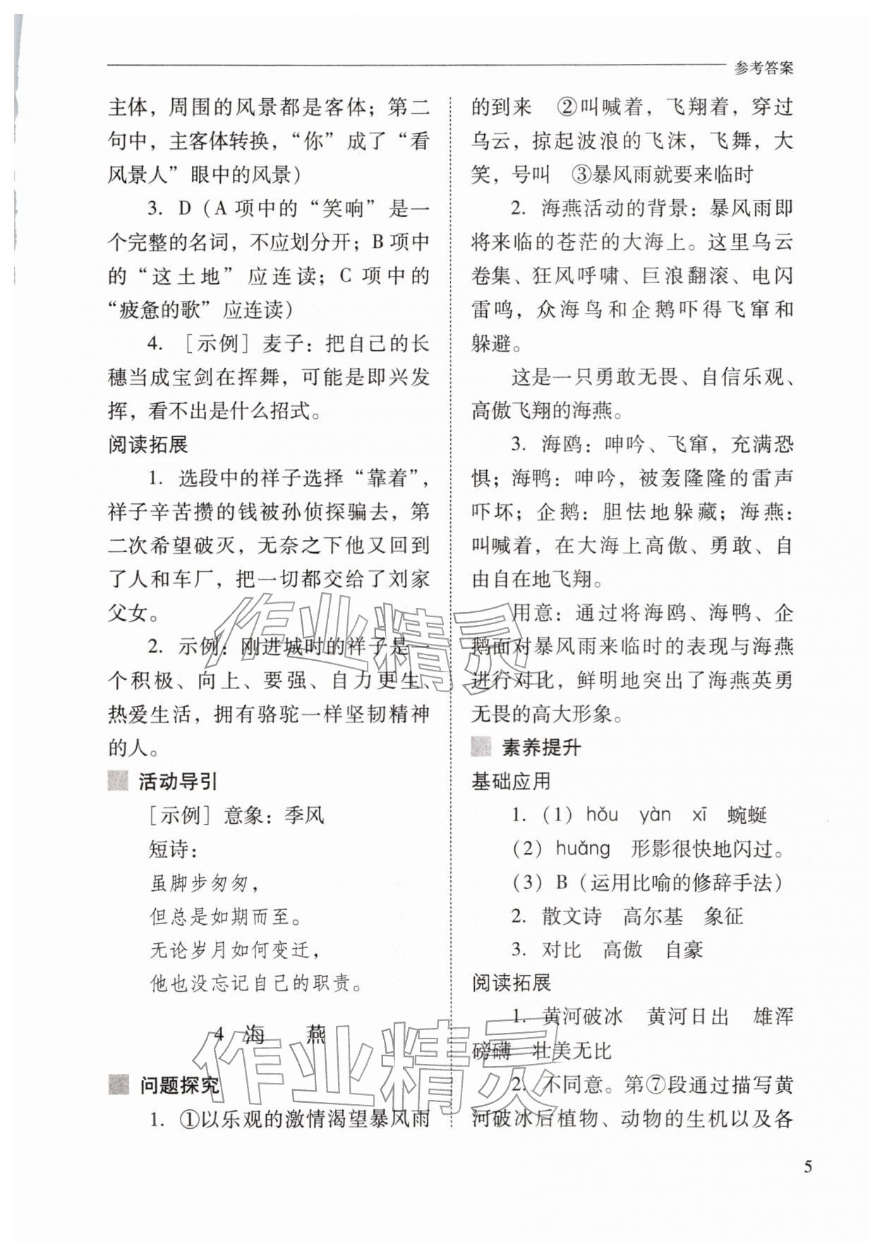 2026年新课程问题解决导学方案九年级语文下册人教版&nbsp;第5页