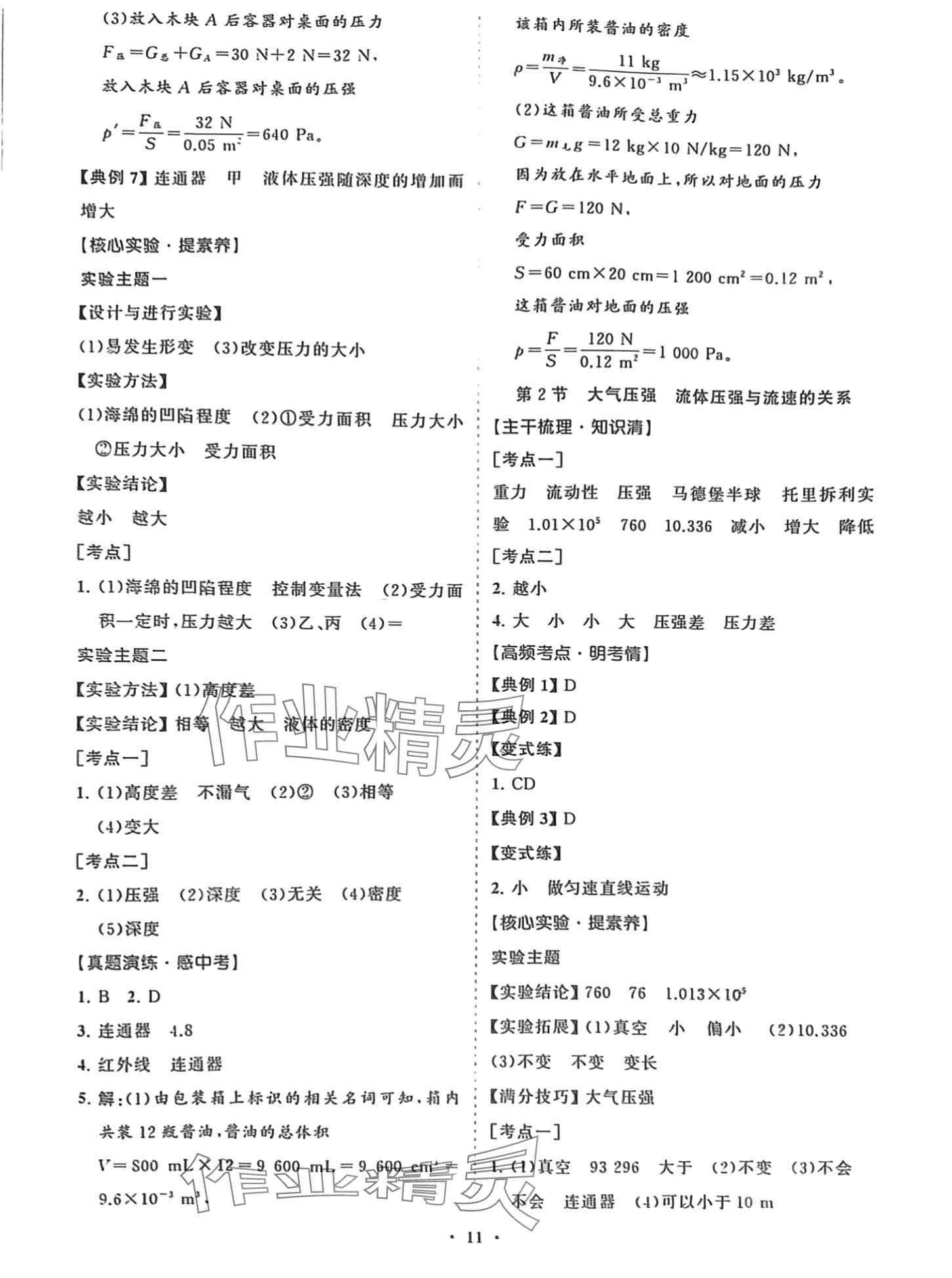 2024年初中總復(fù)習(xí)山東畫報(bào)出版社物理 第11頁